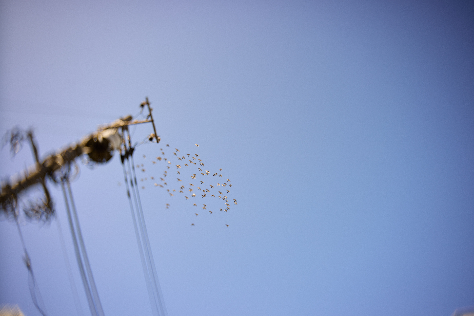 EOS R5／Joseph Petzval 27 f/1.7 Focus-coupled Bokeh Control Art Lens／27mm／絞り優先AE（1/4,000秒、F1.7、±0）／ISO 100