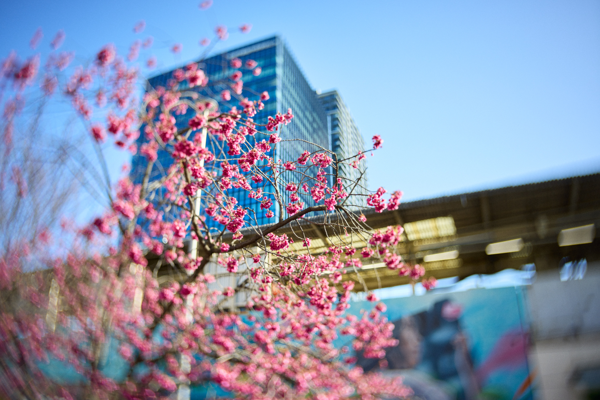 EOS R5／Joseph Petzval 27 f/1.7 Focus-coupled Bokeh Control Art Lens／27mm／絞り優先AE（1/3,200秒、F1.7、±0）／ISO 100