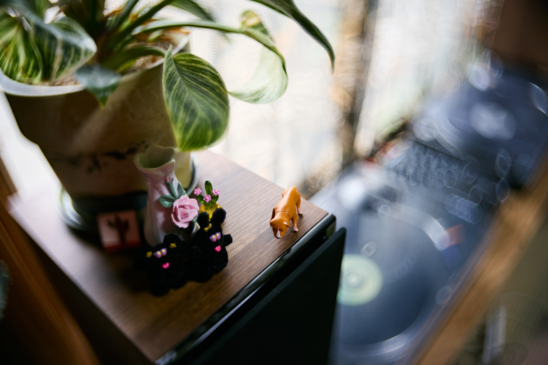 EOS R5／Joseph Petzval 27 f/1.7 Focus-coupled Bokeh Control Art Lens／27mm／絞り優先AE（1/160秒、F1.7、±0）／ISO 200