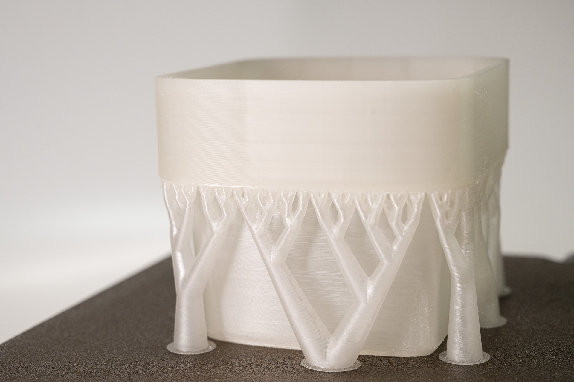 木の枝のように見えているのがサポート