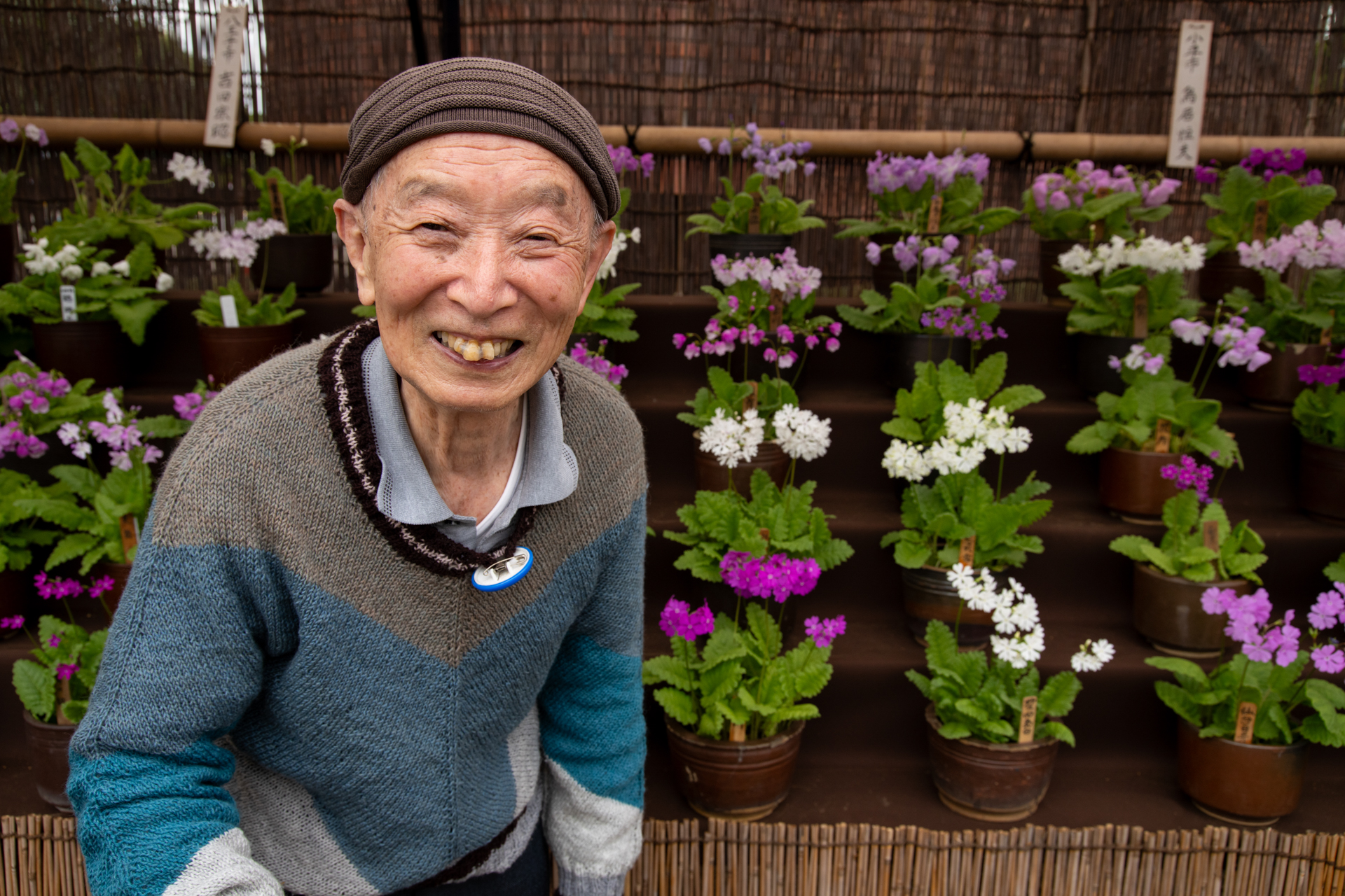 さくらそうを育てる人。人生が充実しているご老人の顔は、花よりも美しいですね、興味を惹かれます。筆者も目指したいけど無理だなあ。肌の描写もいい感じです。<br><span class="fnt-85">ソニーα7CR／Sigma 24-105mm F4 DG OS HSM｜Art／35mm／プログラムAE（1/320秒、F8、−0.3EV）／ISO 400</span>