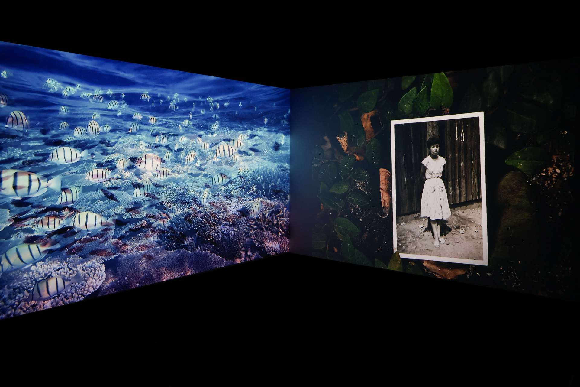 会場には大型のスクリーンが用意された