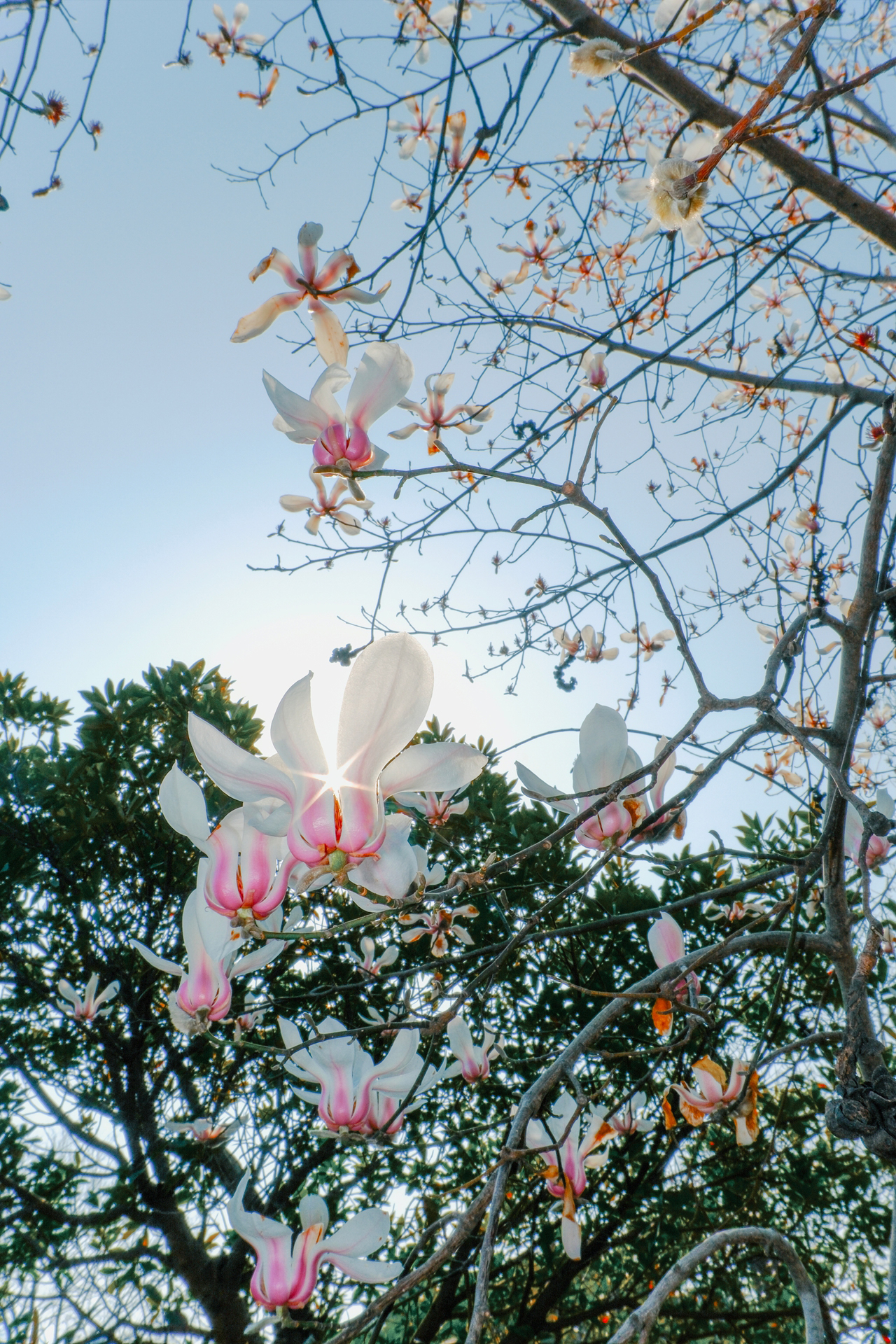 サンプルフォト（焦点工房提供）