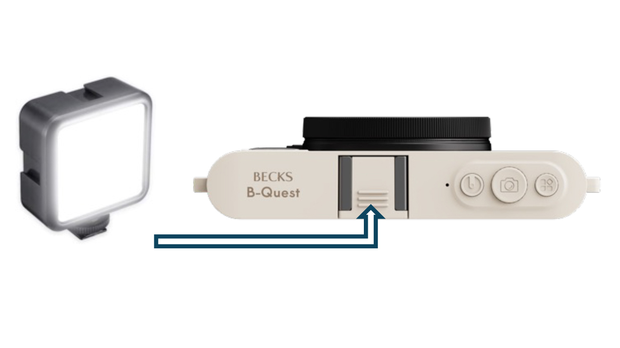 コールドシュー