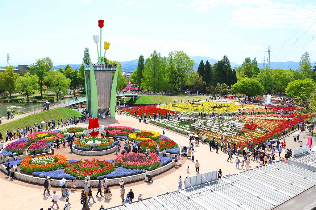 パノラマテラスからの眺望（2025年）