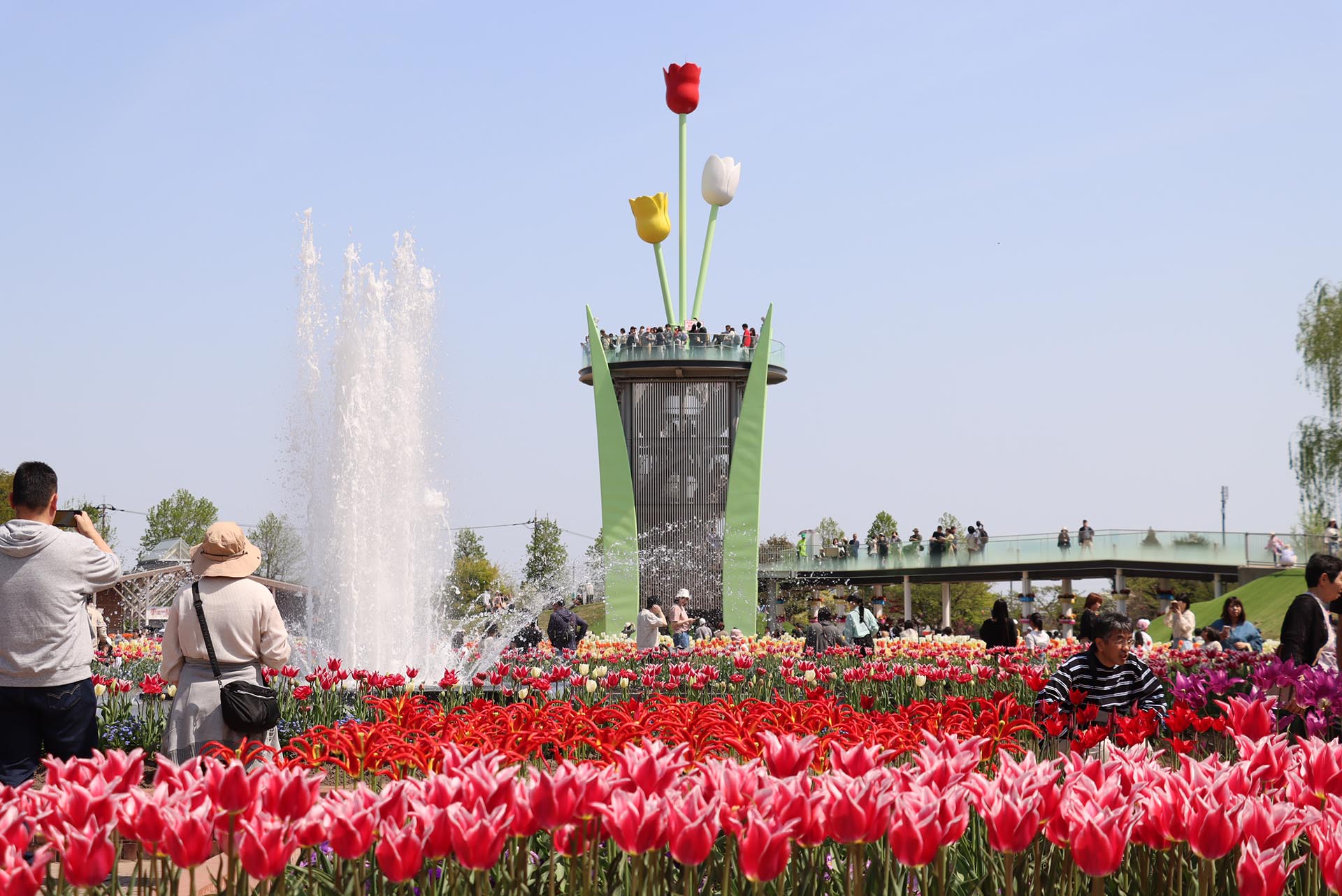 14品種21万本のチューリップ花壇と　チューリップタワー