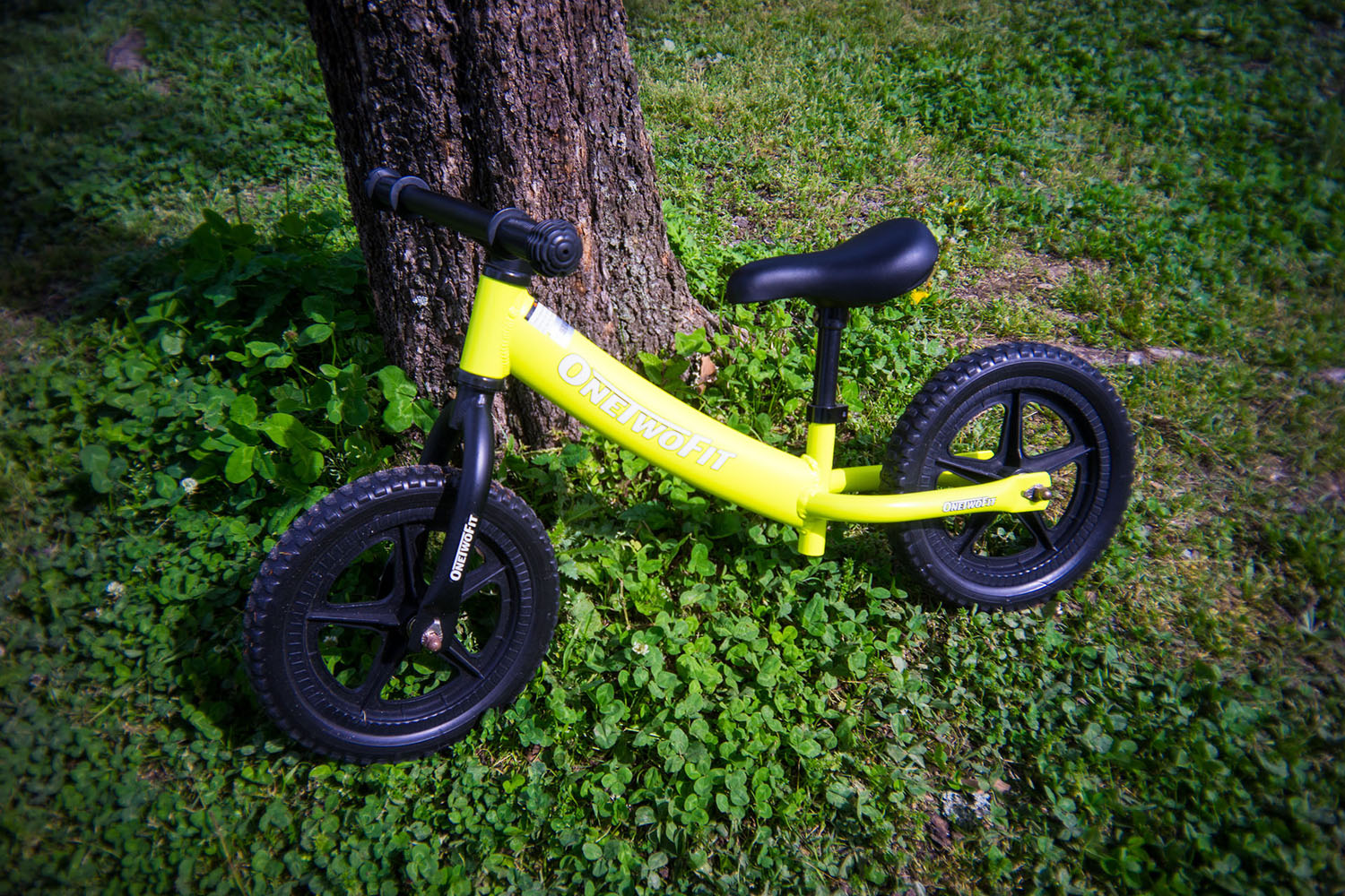 撮影イメージ（提供：ギズモン）