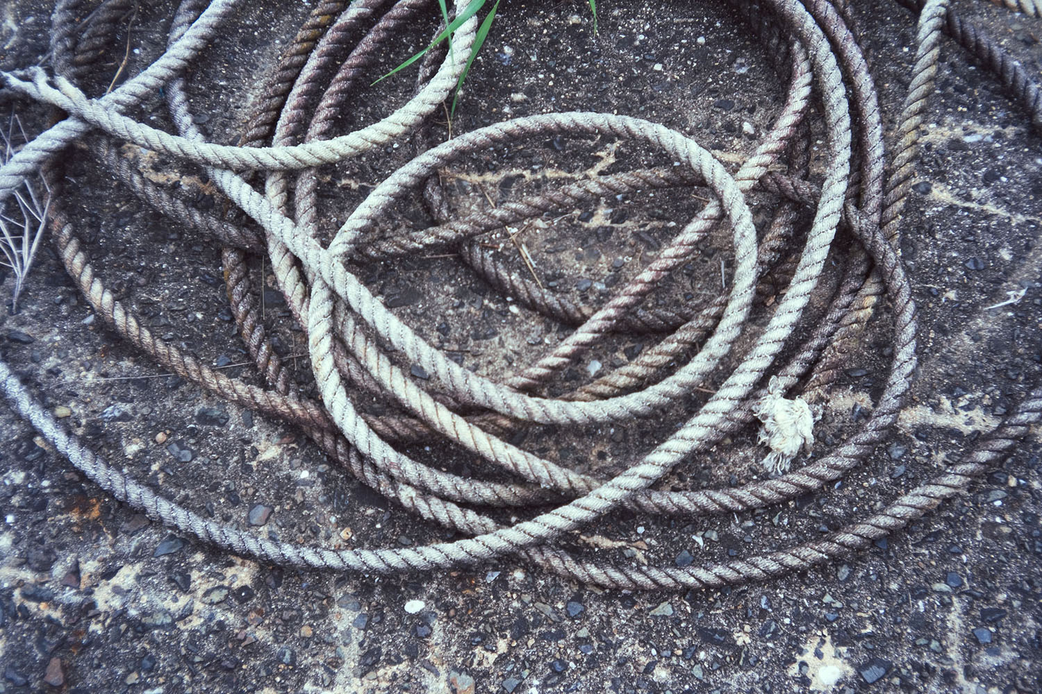 撮影イメージ（提供：ギズモン）