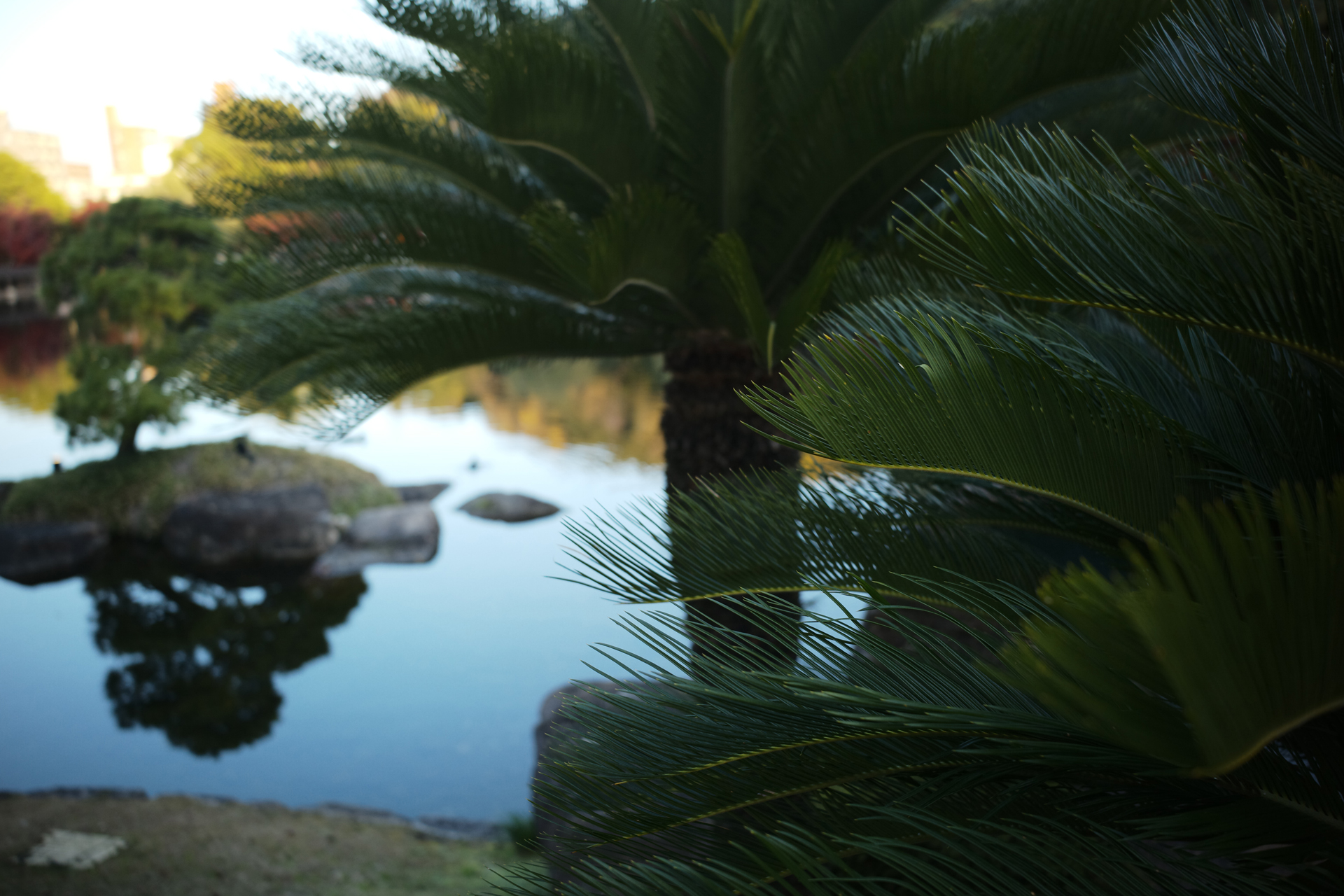 サンプルフォト（焦点工房提供）