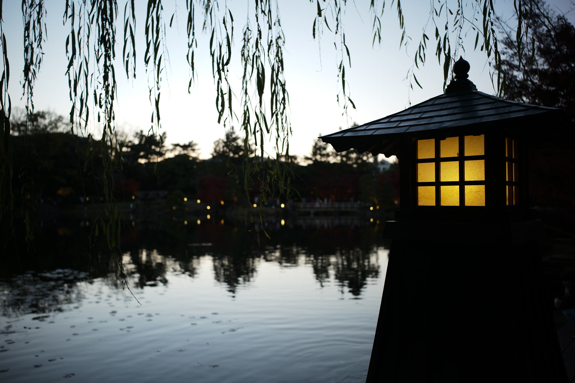 サンプルフォト（焦点工房提供）