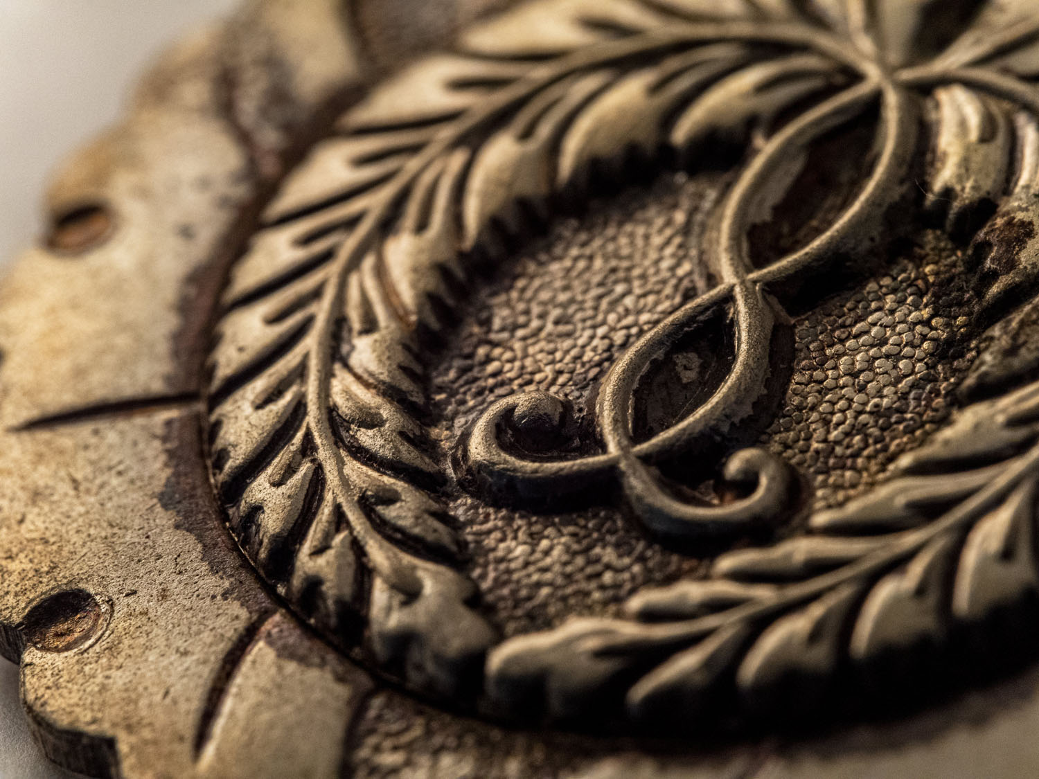 撮影イメージ（提供：サイトロンジャパン）