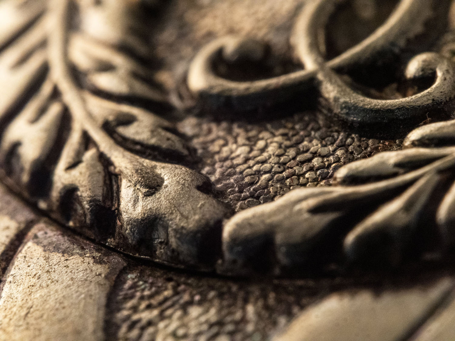 撮影イメージ（提供：サイトロンジャパン）