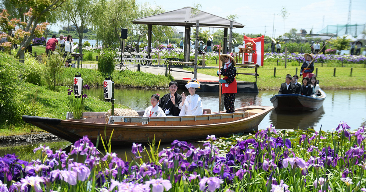 【香取市】水郷佐原あやめパーク