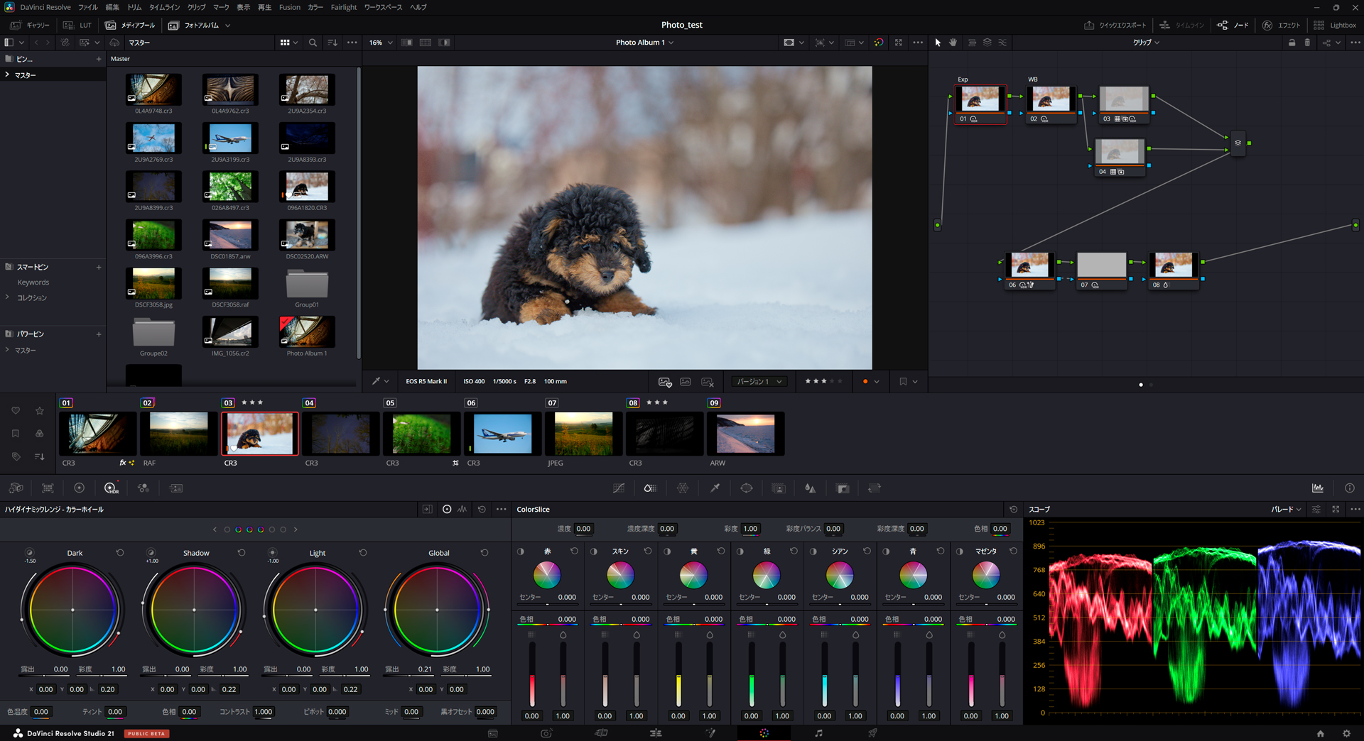 色に関する調整項目が多数存在する。正解の色に辿り着くまでの方法は1通りではなく、ユーザーがそれぞれ好みの機能を選んで補正していく
