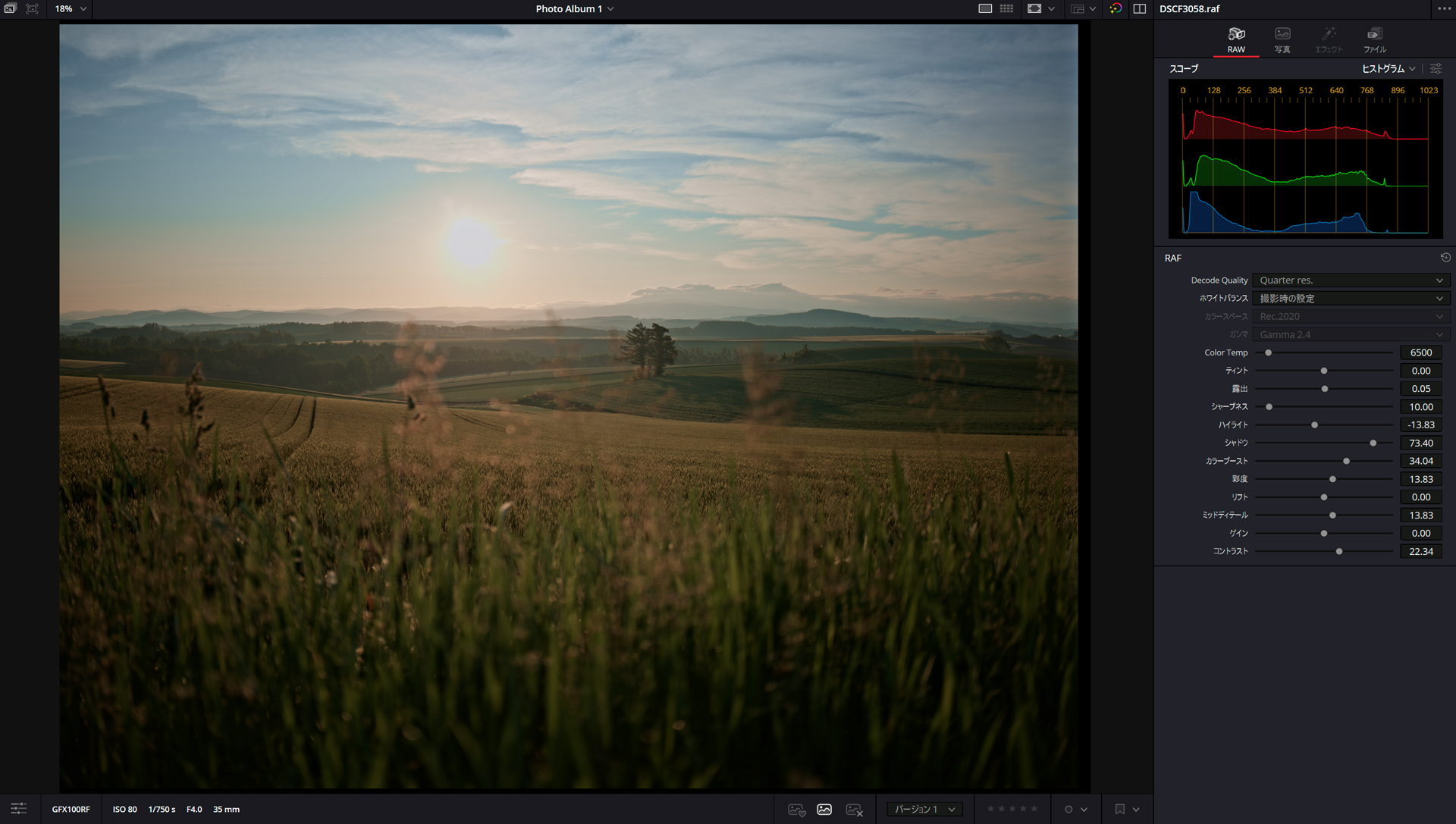 シャドウとカラーブーストを中心に持ち上げることで色が出てきた