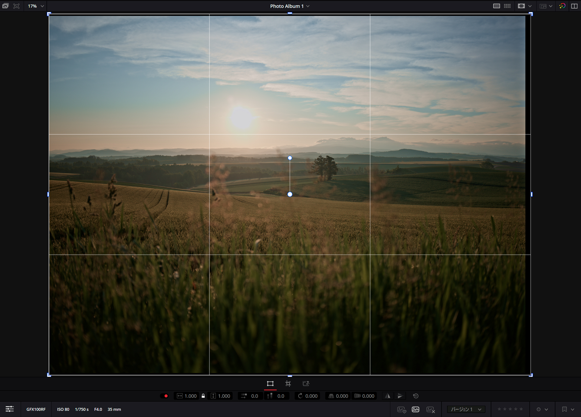 写真の拡大はマウスホイール、移動はホイールを押し込んでドラッグ