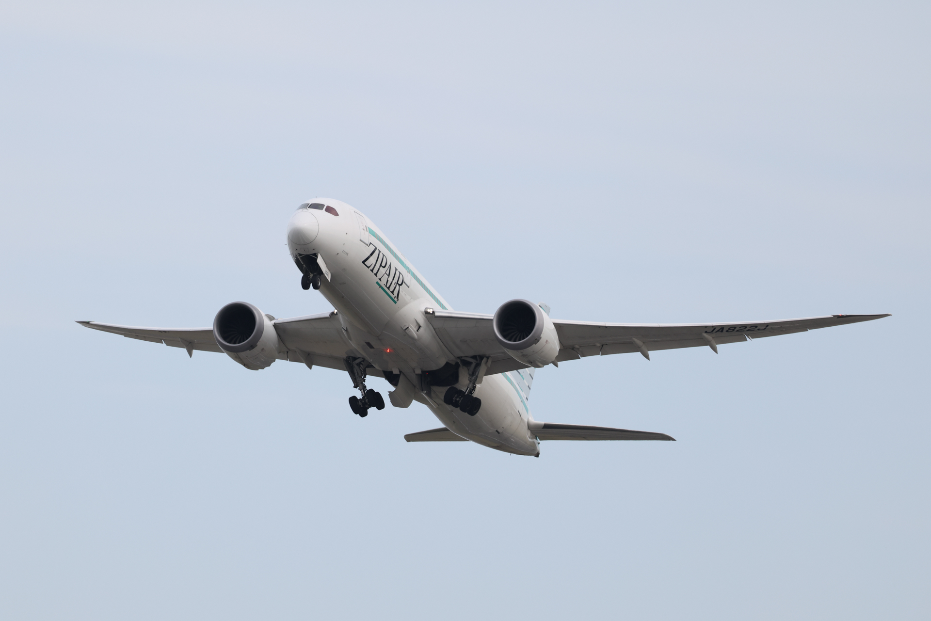 キヤノン EOS R5 Mark II／RF100-500mm F4.5-7.1 L IS USM／500mm／シャッター優先AE（1/2,000秒、F8、＋0.7EV）／ISO 800