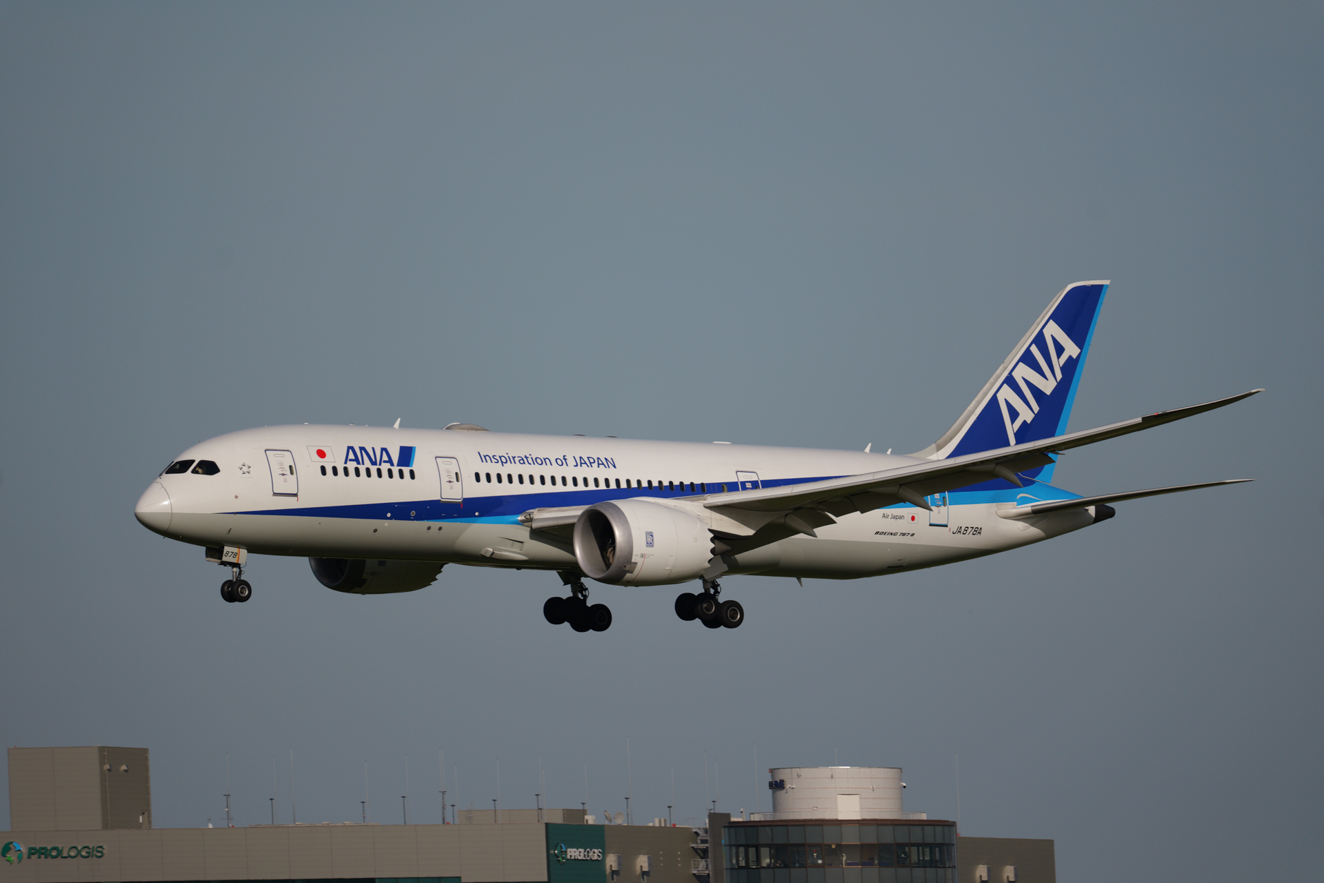 パナソニック LUMIX S1 II／Sigma 100-400mm F5-6.3 DG DN OS｜Contemporary／400mm／シャッター優先AE（1/2,000秒、F6.3、±0.0EV）／ISO 250