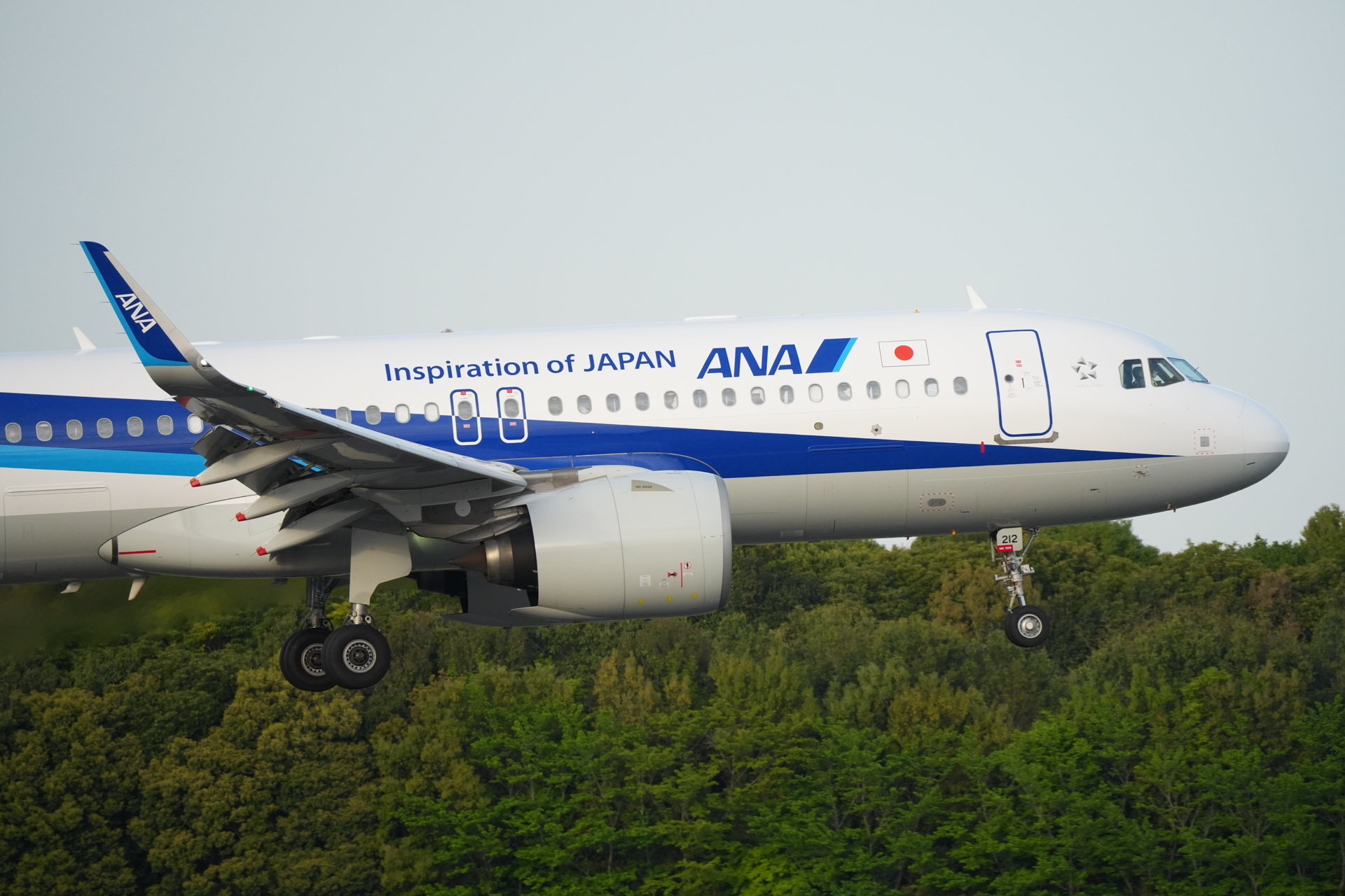 ソニー α7 V／150-500mm F/5-6.7 Di III VC VXD／500mm／シャッター優先AE（1/2,000秒、F6.7、＋1.3EV）／ISO 2000