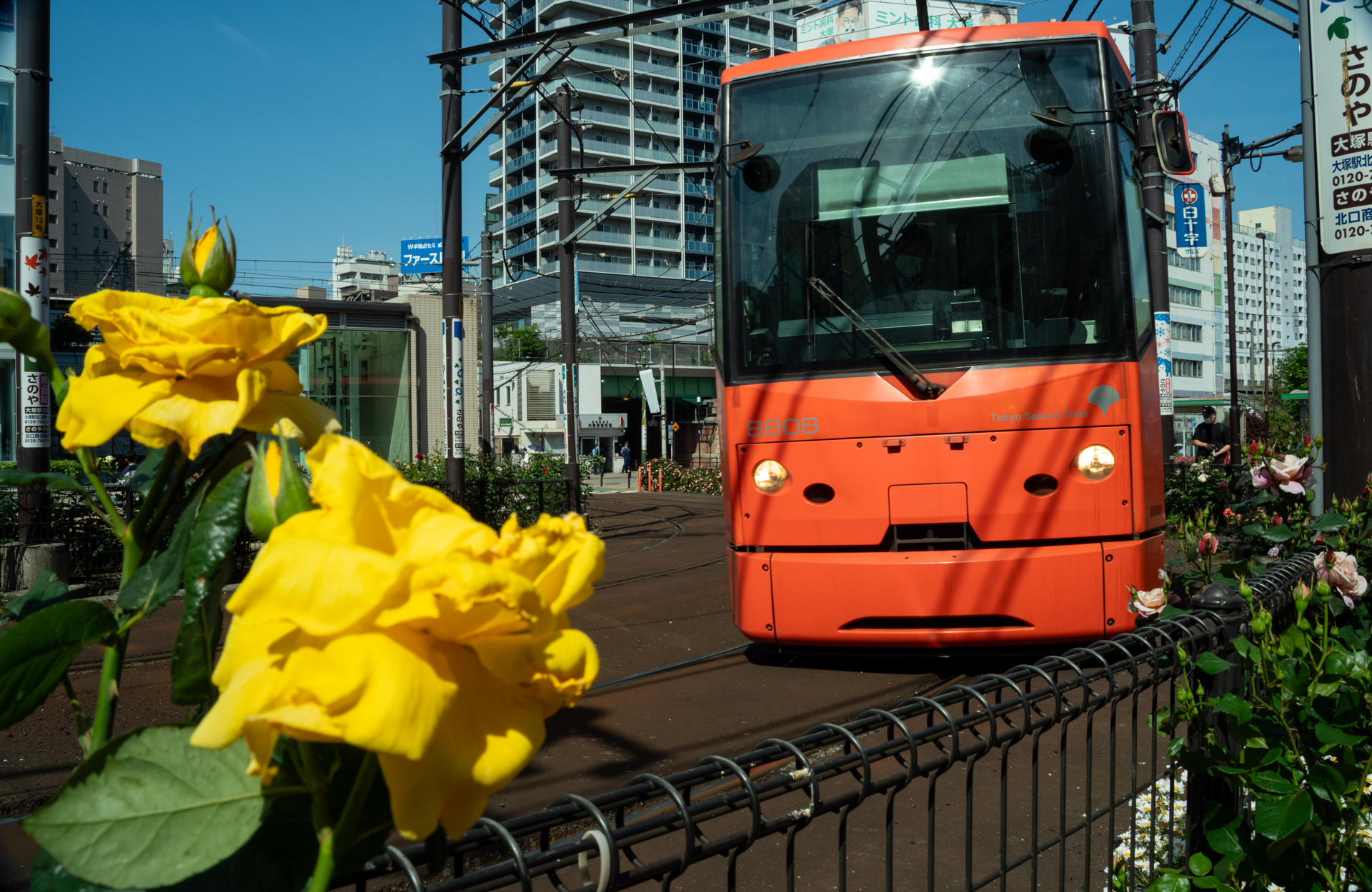 最短撮影距離が1mなのでワイド端で花を撮るのはムリということで手前に入れ込んで、電車にフォーカスしました。<br><span class="fnt-85">ペンタックス K-1 Mark II／TAKUMAR-F 28-80mm F3.5-4.5／28mm／マニュアル露出（1/250秒、F18、－0.7EV）／ISO 400</span>