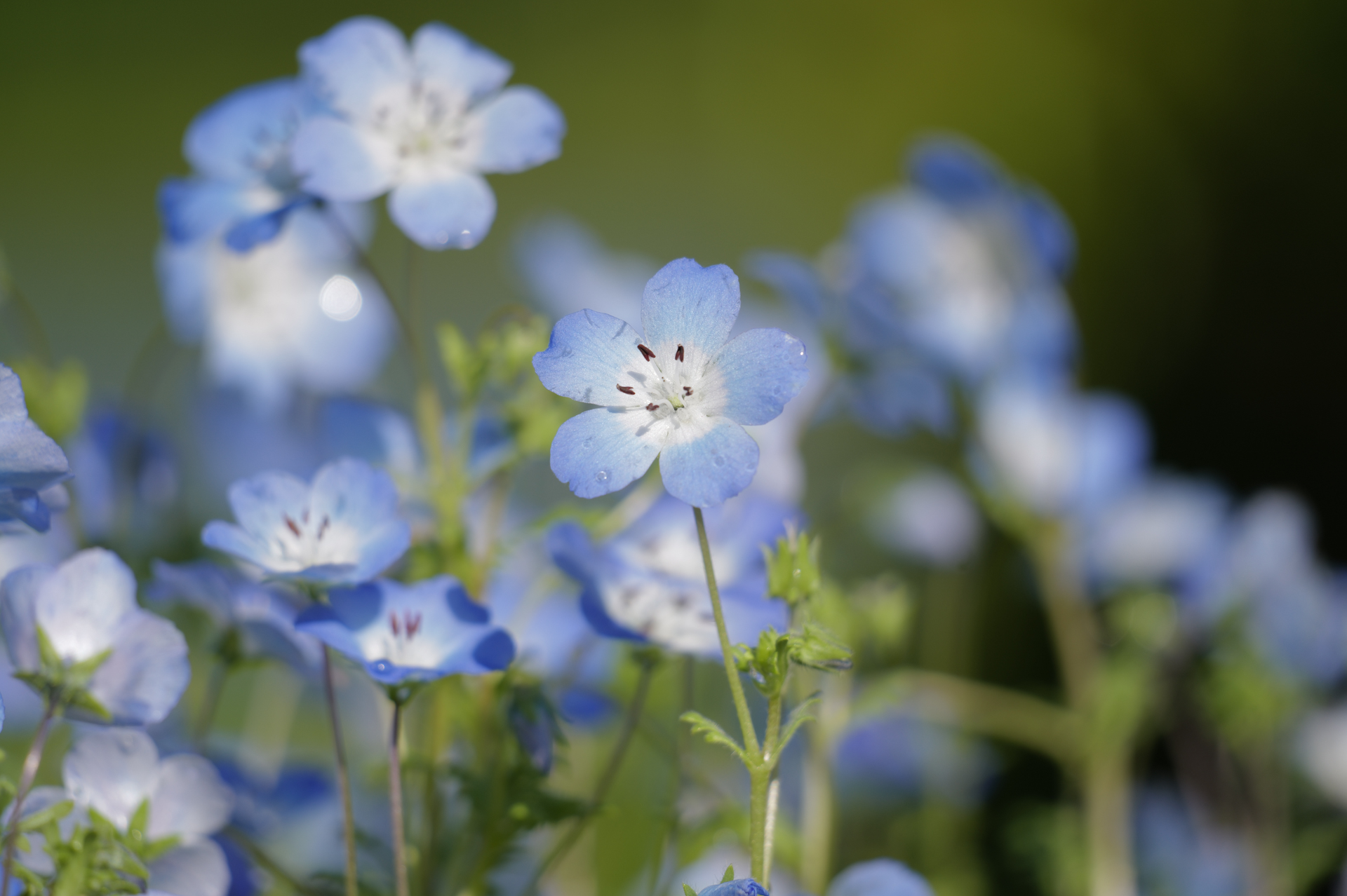 ライカ SL3／バリオ・エルマーSL f5-6.3/100-400mm／400mm／絞り優先AE（1/400秒、F6.3、±0.0EV）／ISO 100