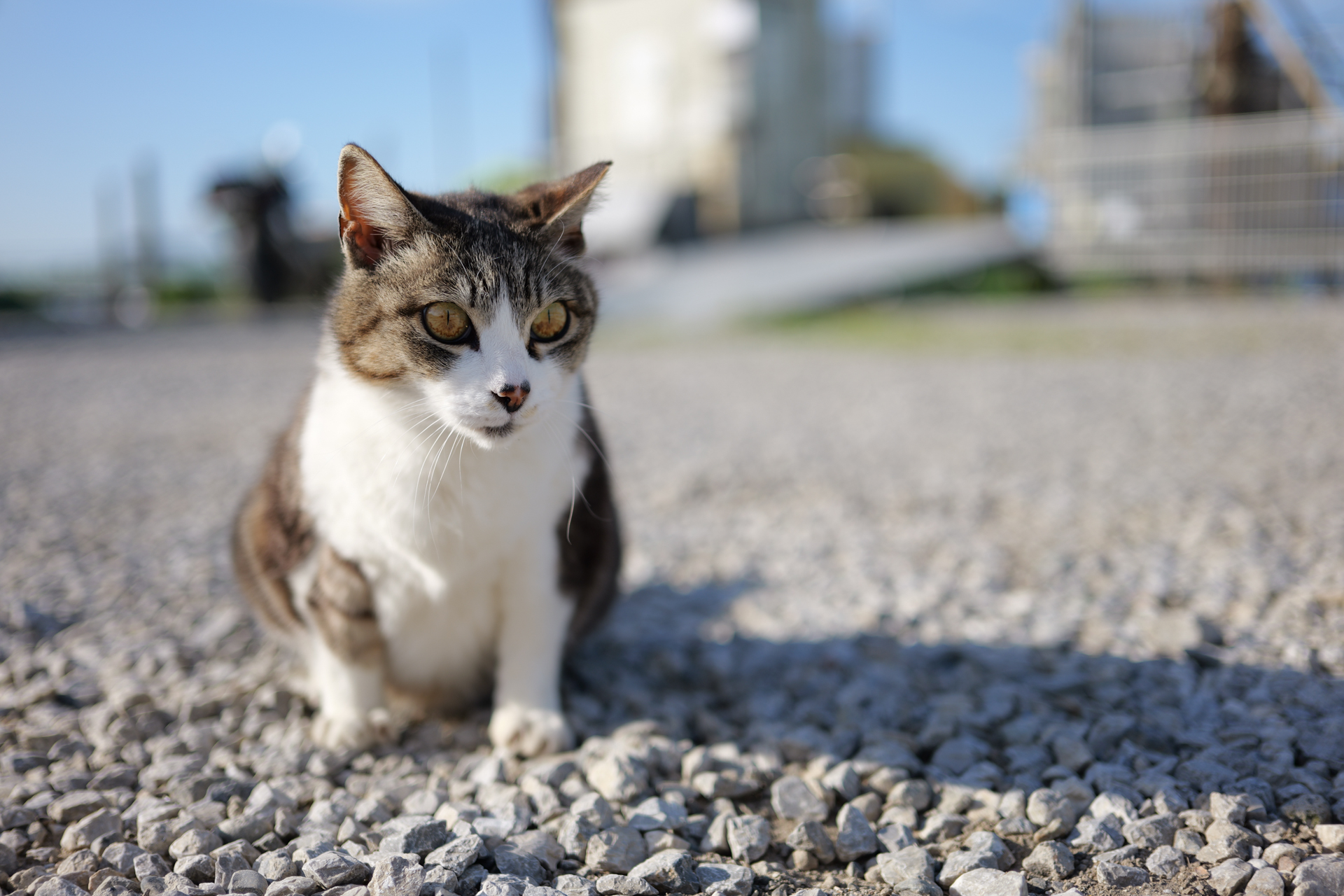 LUMIX S9／LUMIX S 40mm F2／40mm／絞り優先AE（1/2,000秒、F2.2、＋0.7EV）／ISO 100