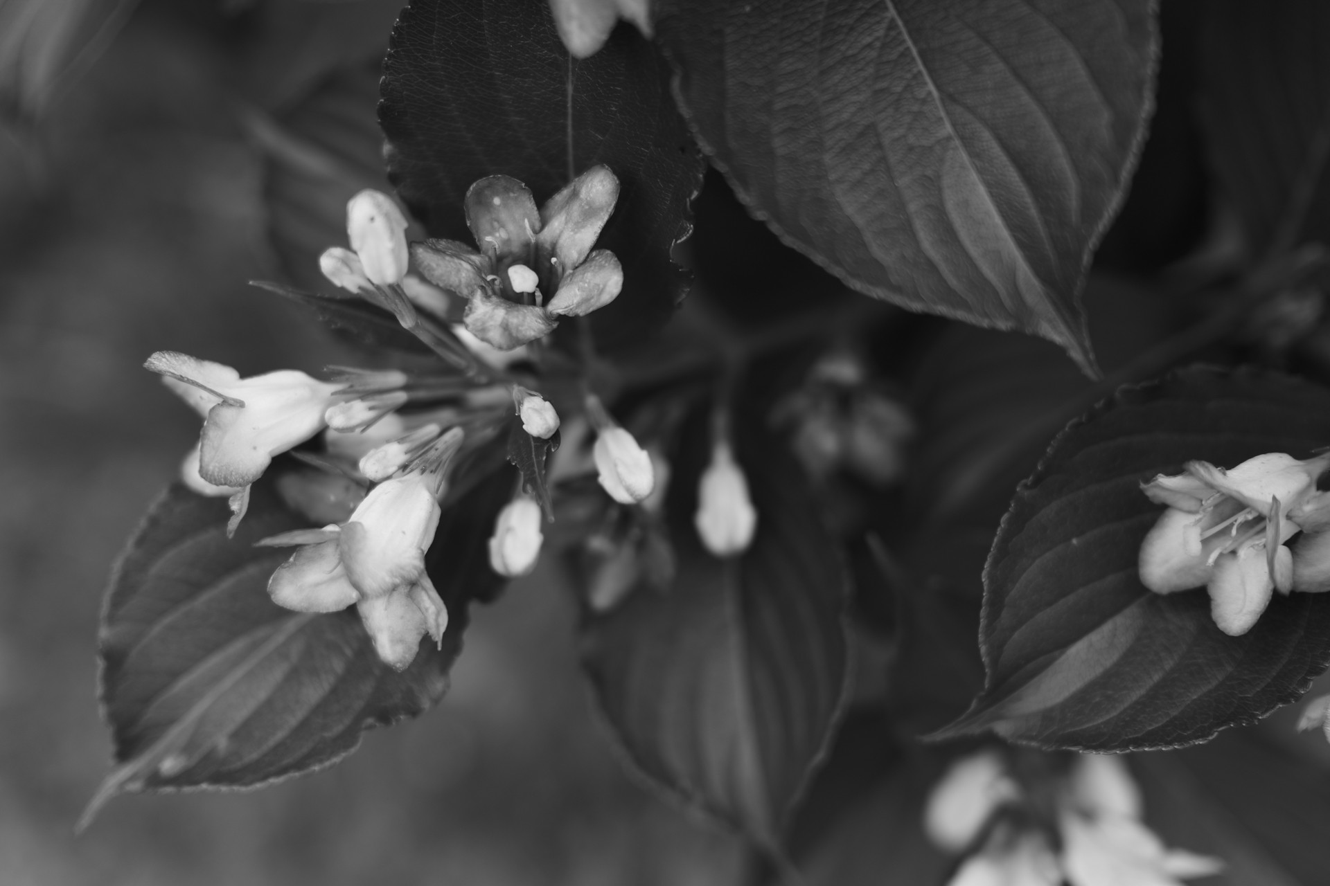LUMIX S9／LUMIX S 40mm F2／40mm／絞り優先AE（1/50秒、F2.8、−1.0EV）／ISO 100