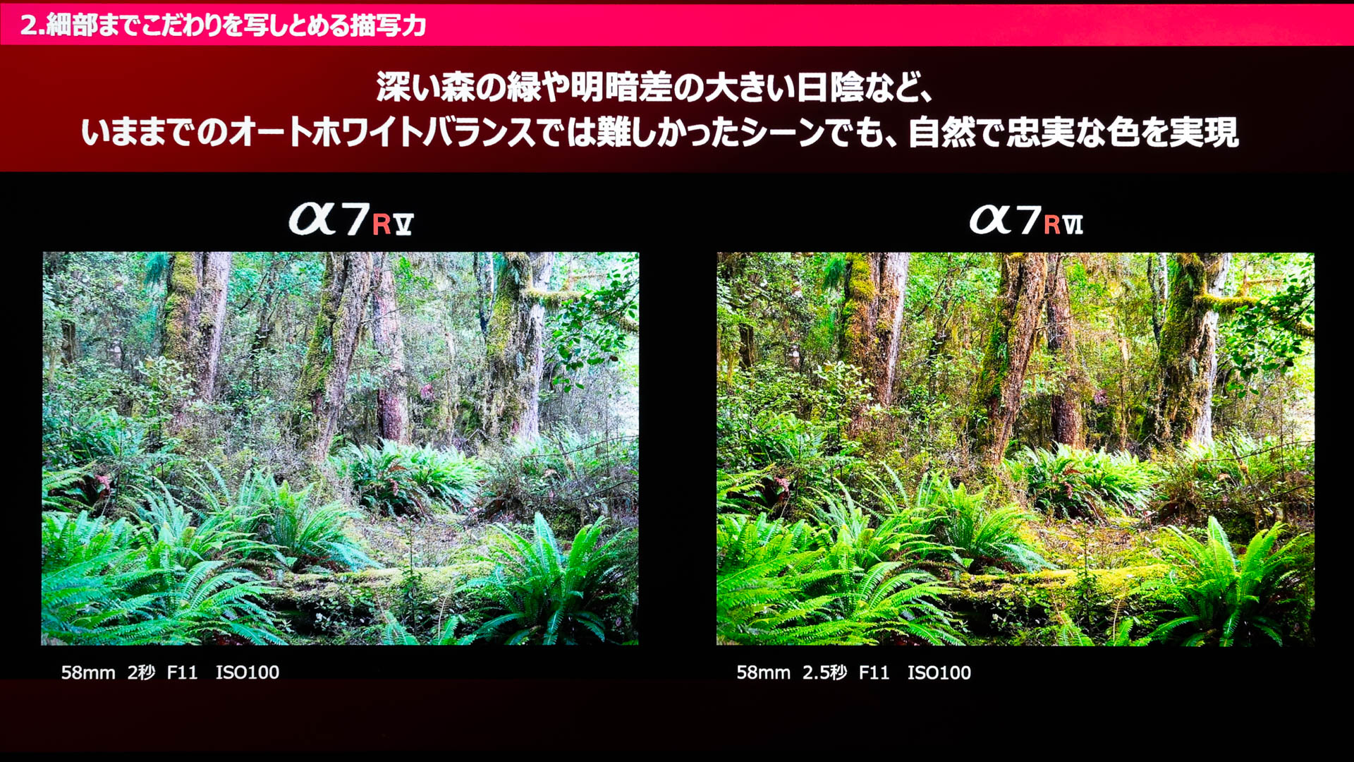α7R Vとの比較。ディープラーニング技術による光源推定で、見た目に近い色味が再現されている