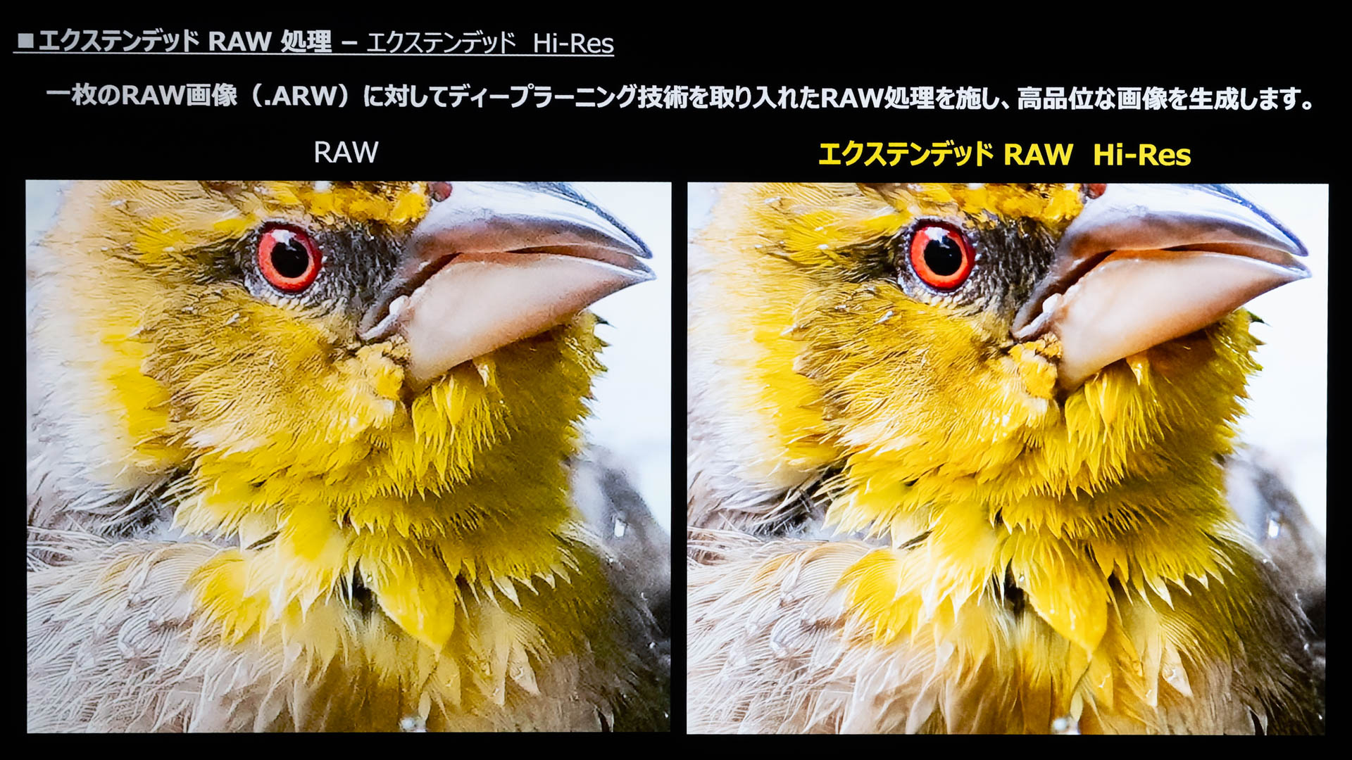 エクステンデッドRAW処理のイメージ