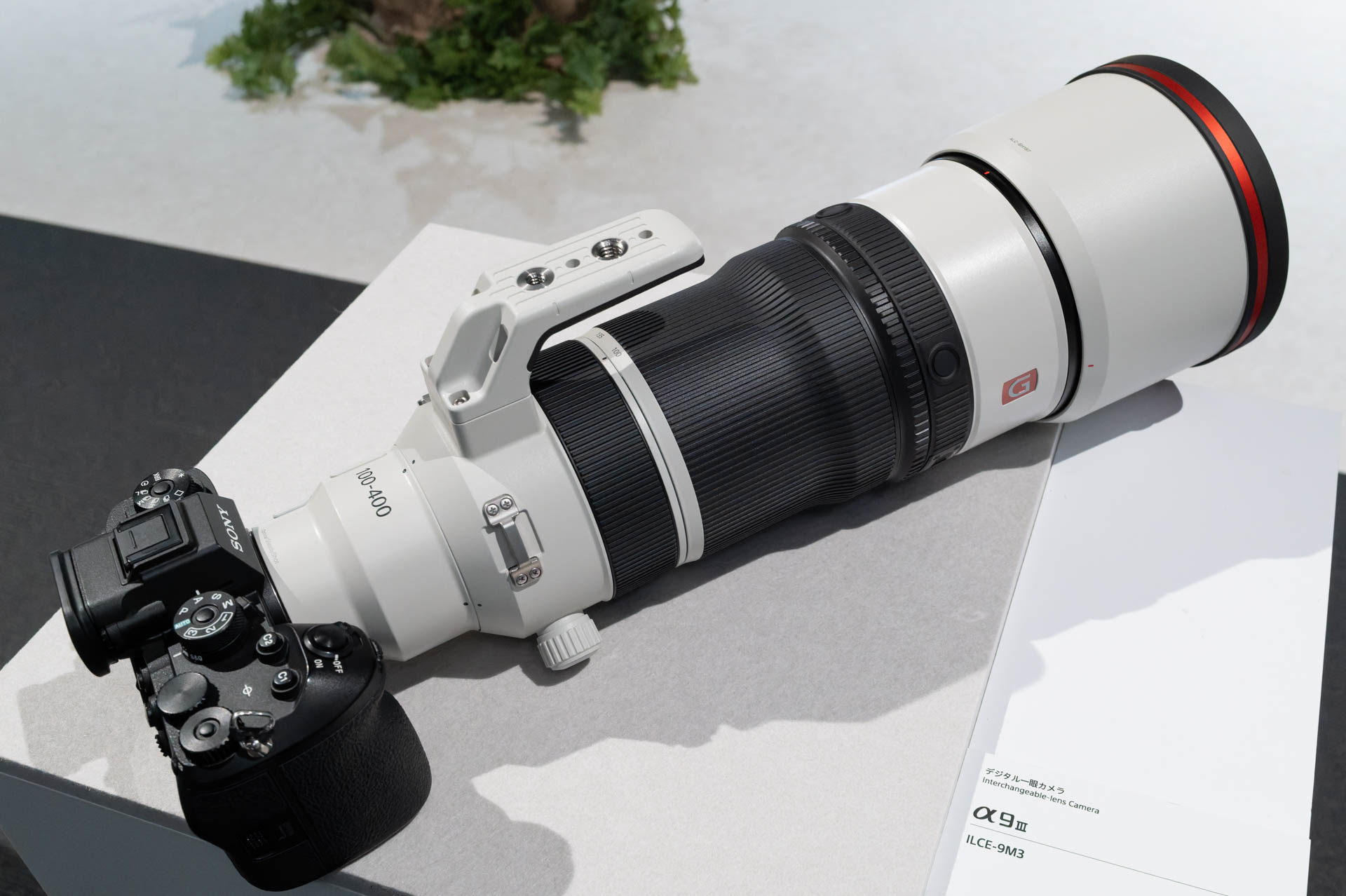 FE 100-400mm F4.5 GM OSS。装着カメラはα9 III