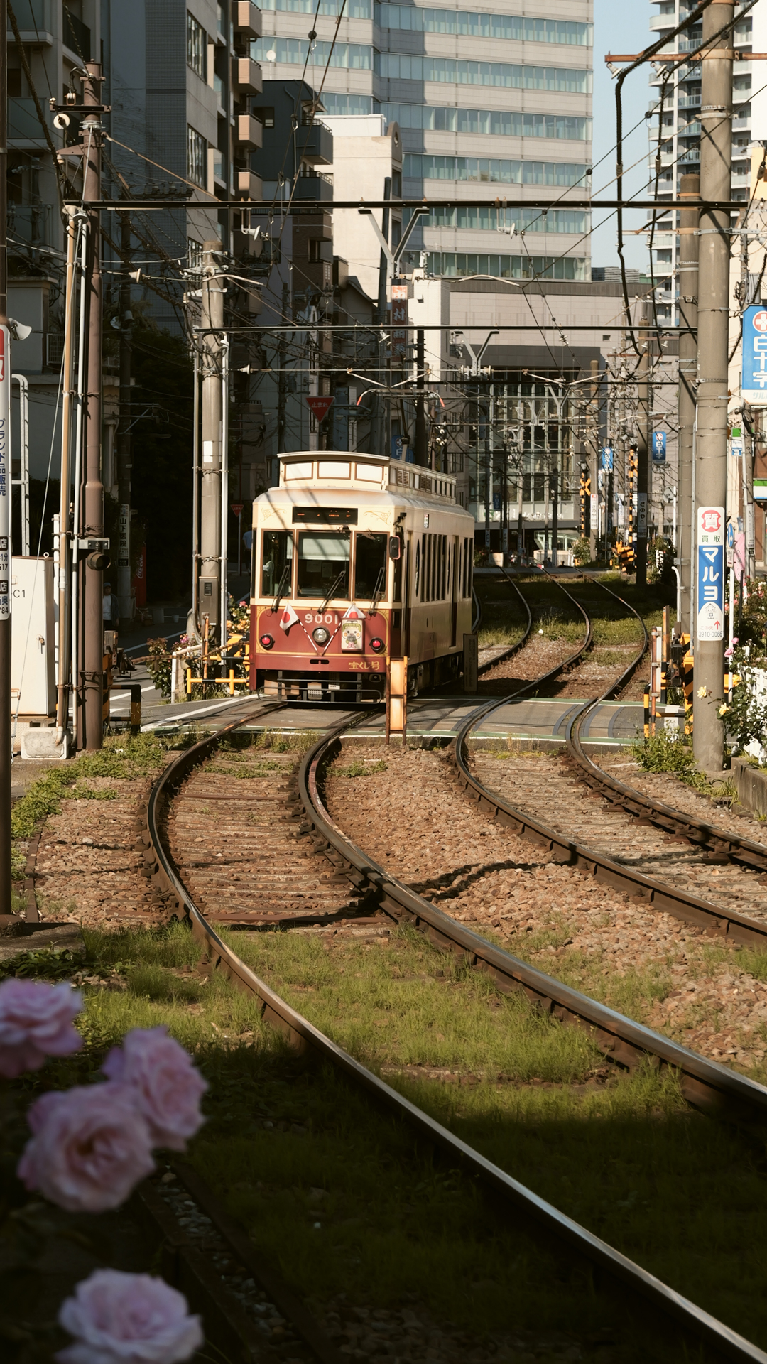 圧縮効果で狙いたいシーンというのもあります。手ぶれ補正も抜群です<br><span class="fnt-85">LUMIX L10／LEICA DC VARIO-SUMMILUX 10.9-34mm / F1.7-2.8 ASPH（34mm／クロップ97mm）／絞り優先AE（F3.5、1/1,000秒）／ISO 100／WB：曇り／-0.7EV／フォトスタイル：L.クラシックG</span>