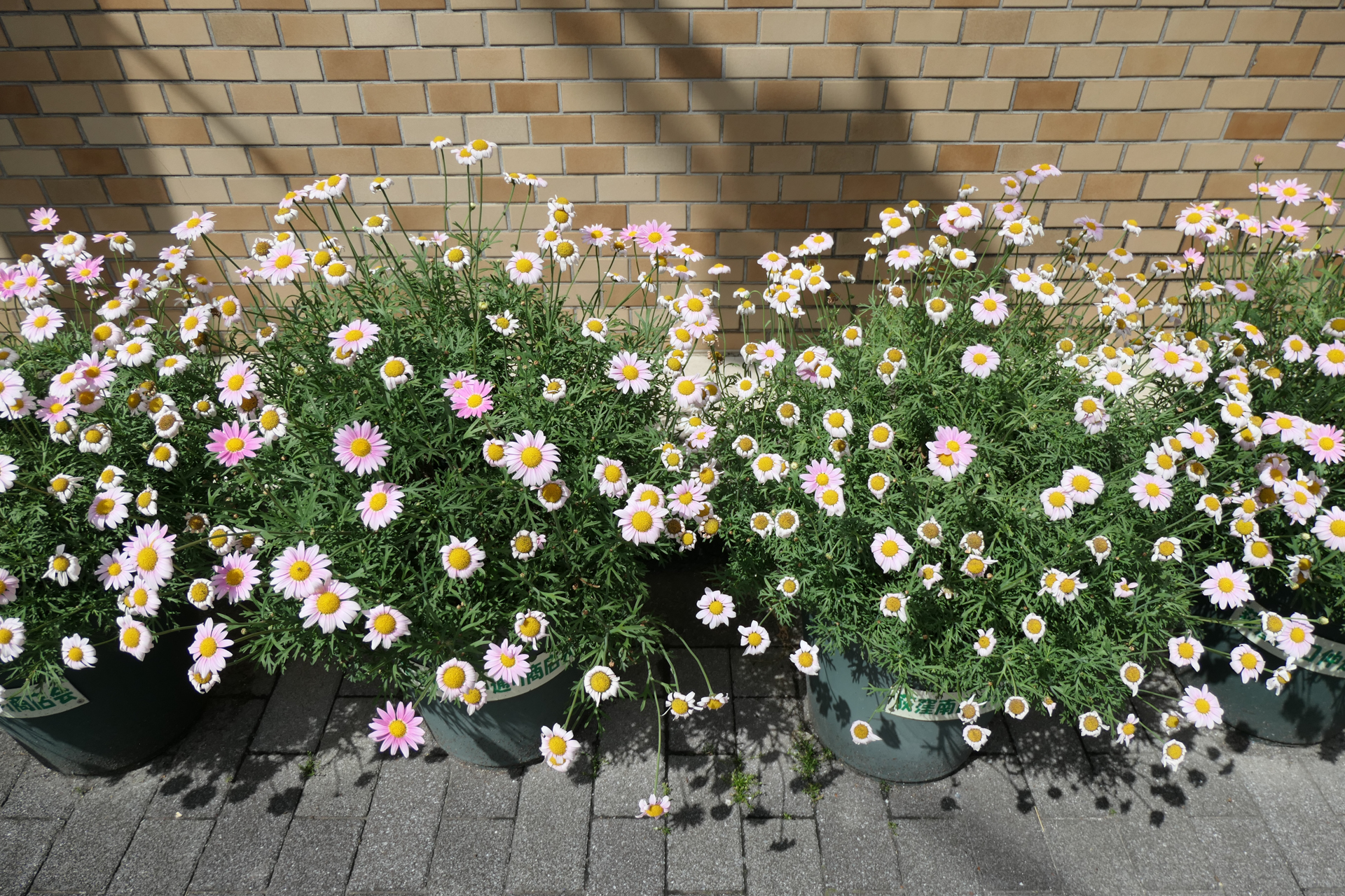 F3.3で撮影。わずかに4隅は甘め<br><span class="fnt-85">LUMIX TX3／LEICA DC VARIO-ELMAR 1:3.3-6.4/8.8-132 ASPH.／24mm／絞り優先AE（1/2000秒、F3.3、±0EV）／ISO 125</span>