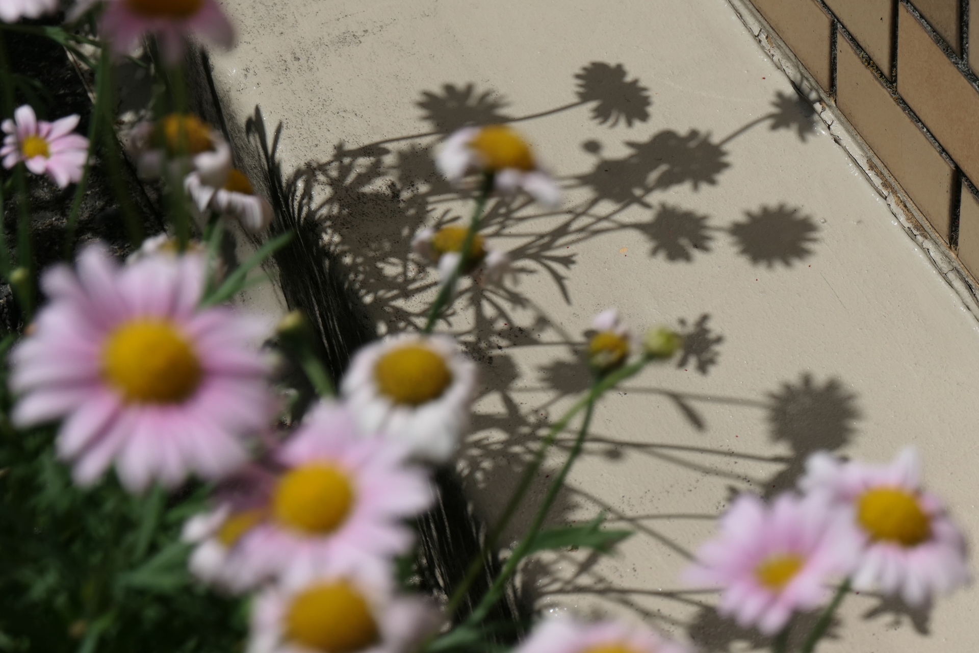 LUMIX TX3／LEICA DC VARIO-ELMAR 1:3.3-6.4/8.8-132 ASPH.／124mm／絞り優先AE（1/2000秒、F5.5、-1/3EV）／ISO 125
