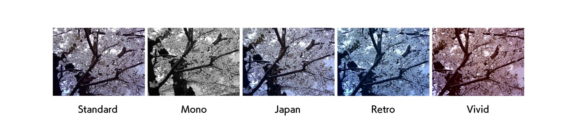 5種類のフィルター機能を搭載