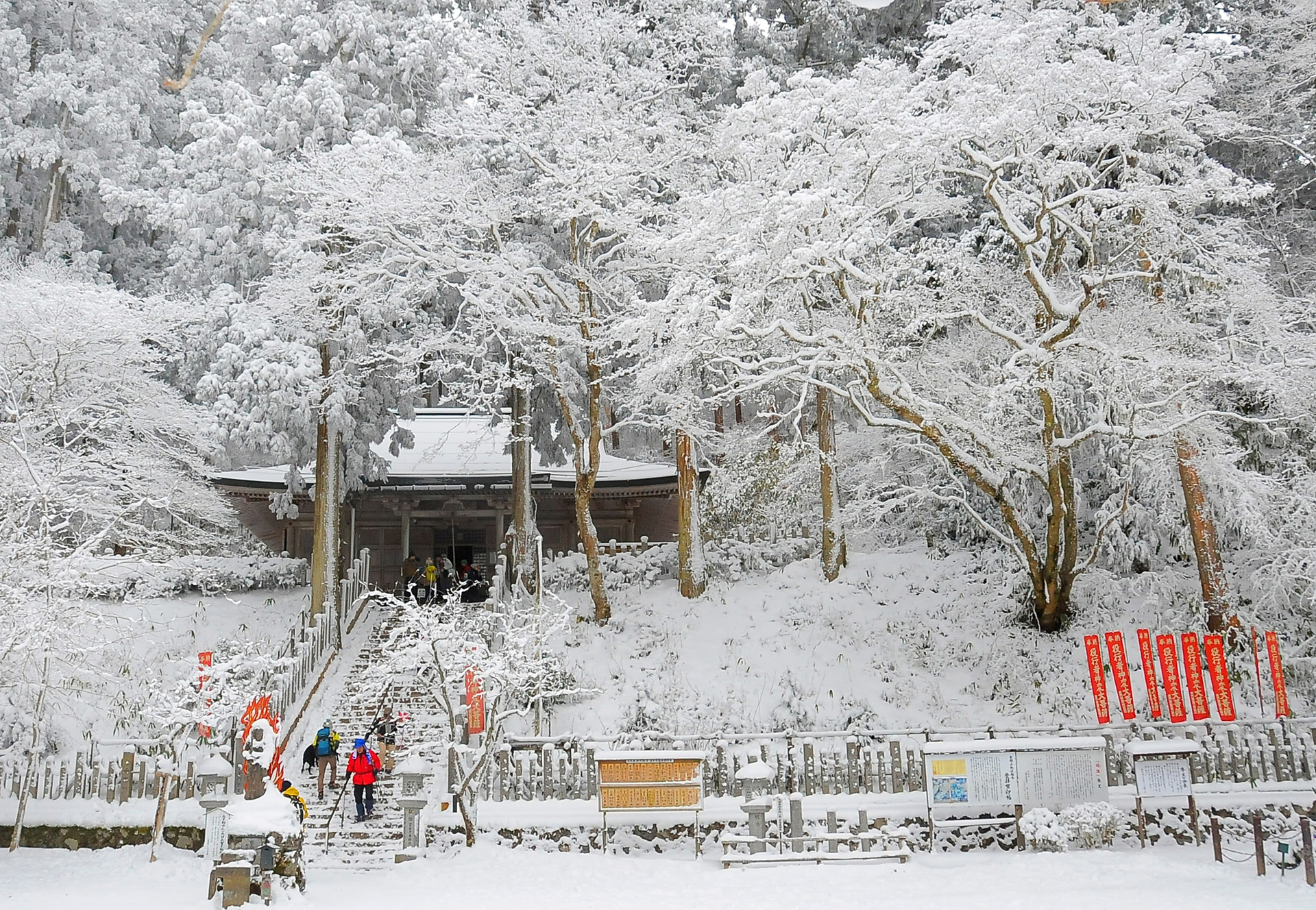 佳作・マロン爺さん「雪の参拝」