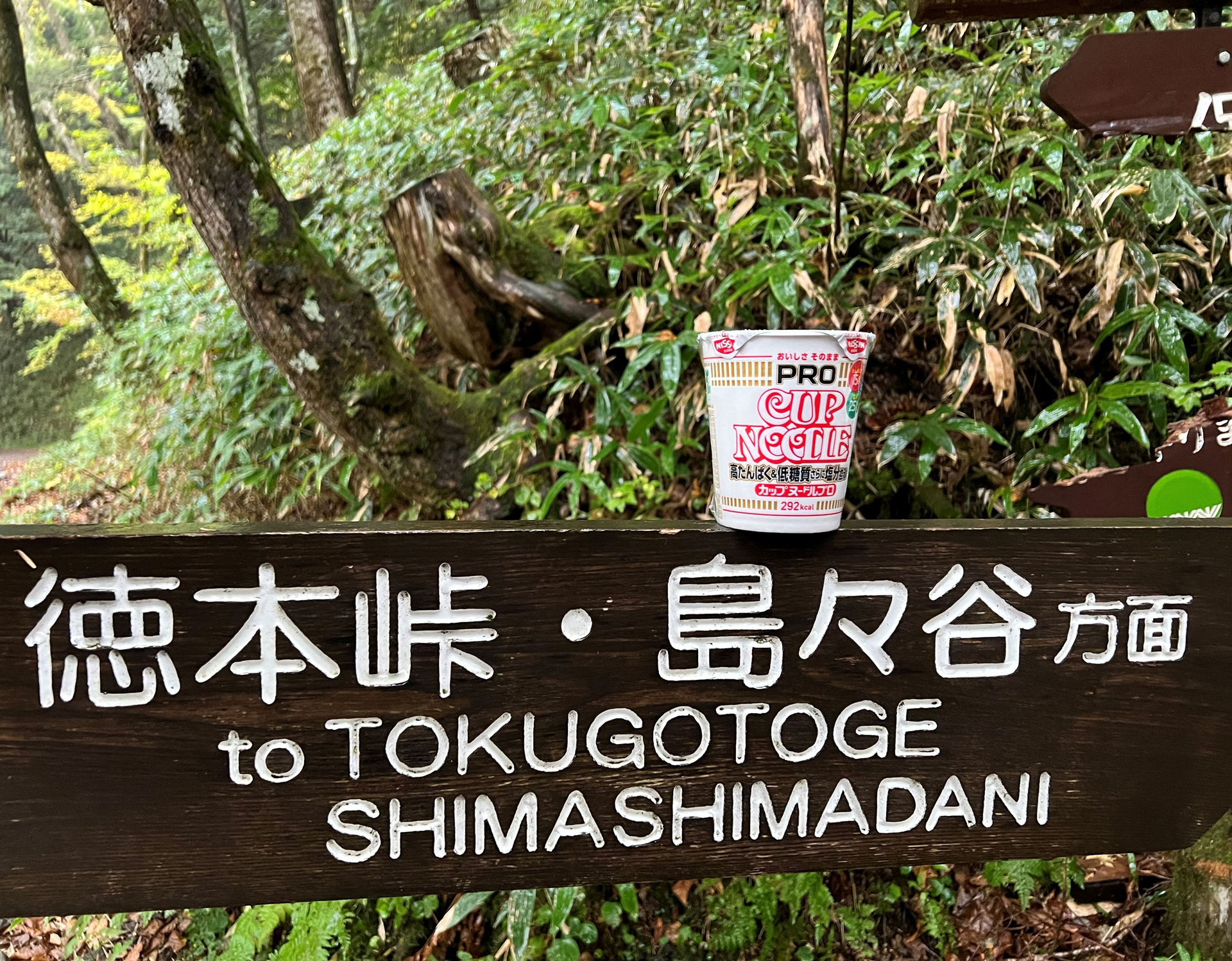 榎本敏孝「徳本峠_島々谷_祝!!開通」