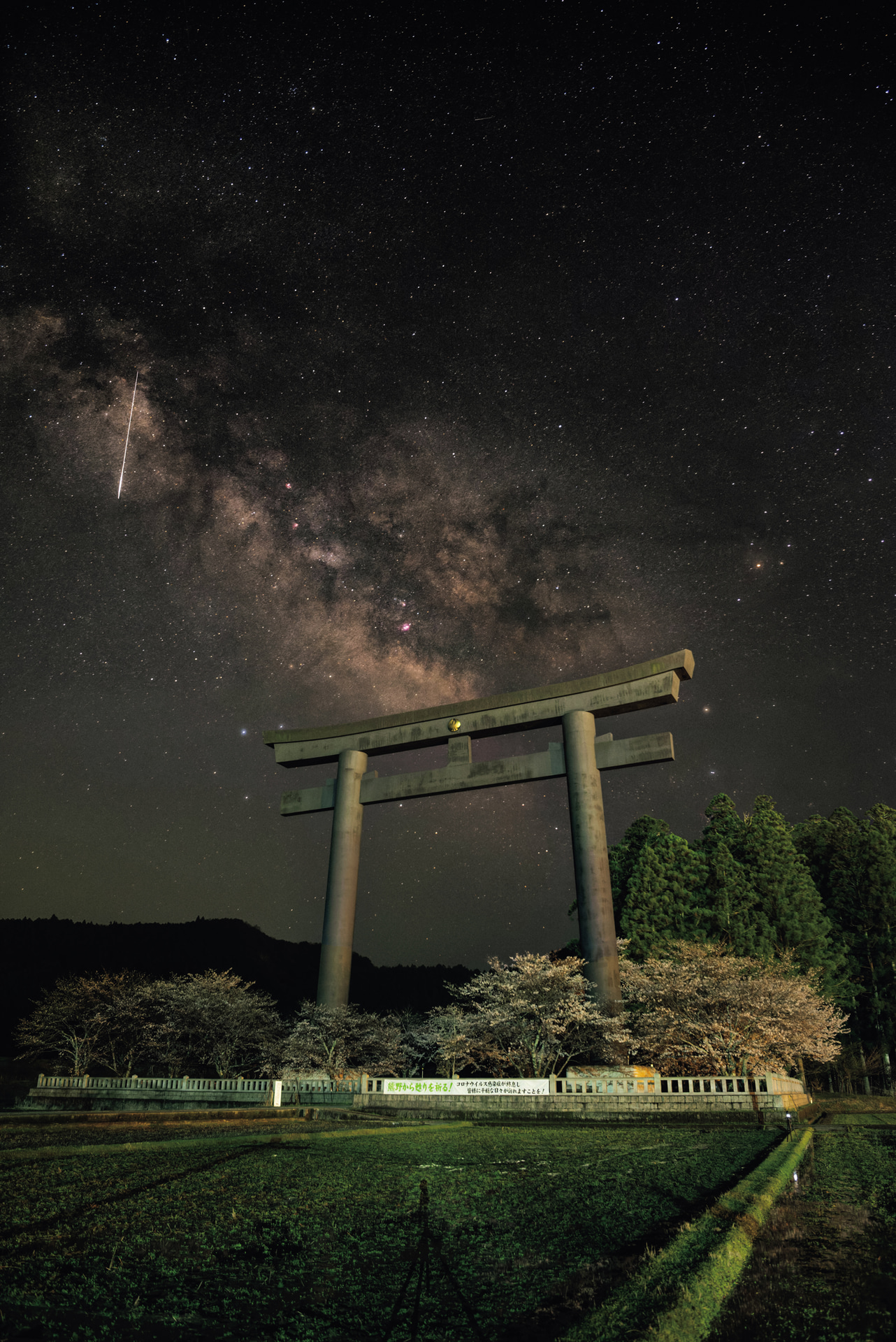 和歌山県の大斎原で、奇跡的に火球が写り込んだ。こうした一瞬の流星カットは、複数枚の加算平均合成ができない。本ソフトを使えば、1枚撮りであっても、ノイズレスで美しい星空風景に仕上がる<br><span class="fnt-85">ニコン D810A／SAMYANG 24mm F1.4 ED AS IF UMC／24mm／マニュアル露出（F4、15秒）／ISO 6400／WB：晴天<br>※この写真はDxO PureRAW 6でノイズ除去後に現像ソフトを使用して仕上げています</span>