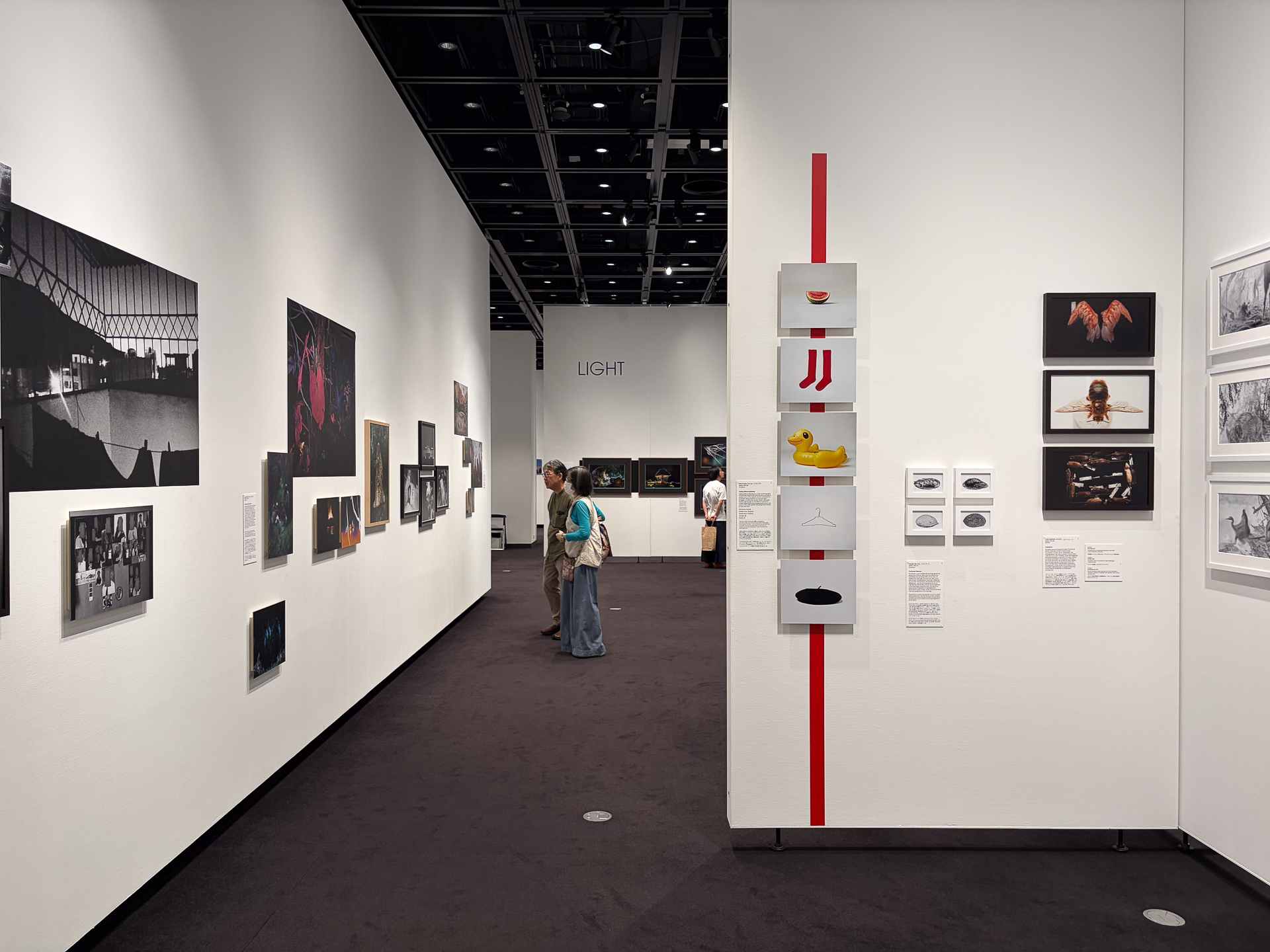 東京都写真美術館で開幕した「ソニーワールドフォトグラフィーアワード2026」受賞作品展