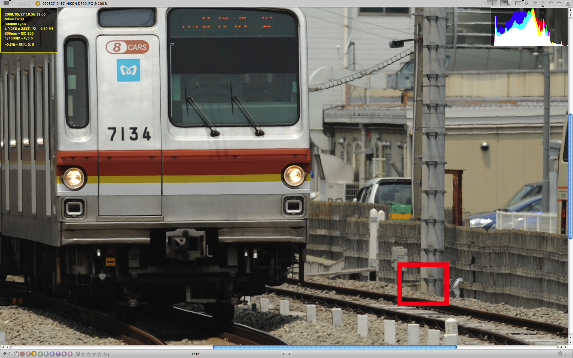 <b>追尾に失敗したシーケンスの4コマ目をViewNXでピクセル等倍表示。あからさまに電柱です。色が似てるのはたしかだけど。このあと、6コマ目と7コマ目のあいだで半押しをやりなおしたのだが、やっぱりうまくいかなかった</b>