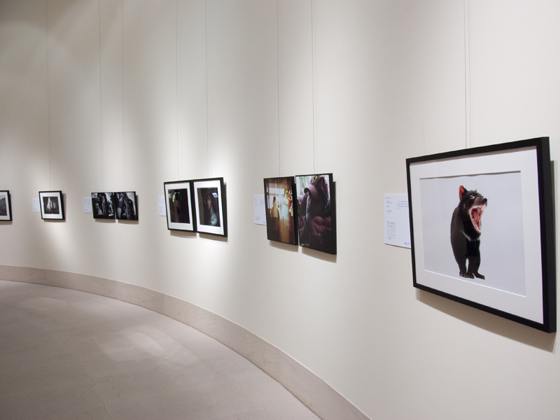 <b>ギャラリーの様子</b>