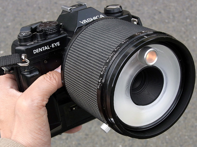 <b>YASHICA DENTAL-EYEのレンズは一見レフレックス500mmのようにも見えるが、実はこの太い鏡筒の中に50mm F3.5マクロレンズと、リングストロボが内蔵されている。オレンジ色に光っているのは、ピント合わせ用のモデリングランプ。歯科医のために開発されたフィルム一眼レフだが、昆虫撮影用にも十分使える性能を持つ</b>