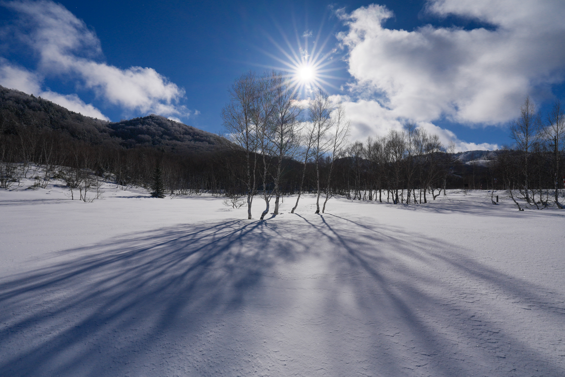 撮影：萩原れいこ<br><span class="fnt-85">ソニー α7 V／FE 16-35mm F2.8 GM II／18mm／絞り優先AE（1/640秒、F16、−2EV）／ISO 100</span>