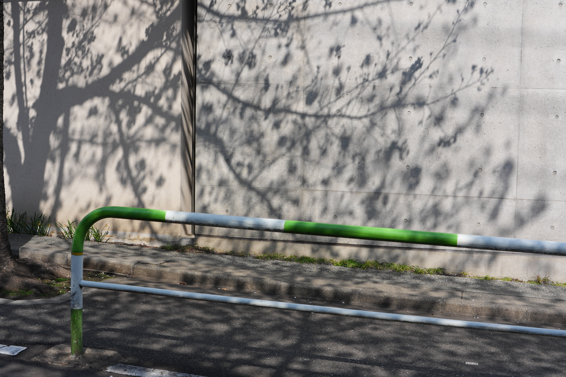 撮影：阿部秀之<br><span class="fnt-85">ソニー α7 V／FE 50-150mm F2 GM／50mm／プログラムAE（1/400秒、F6.3、0.3EV）／ISO 100</span>