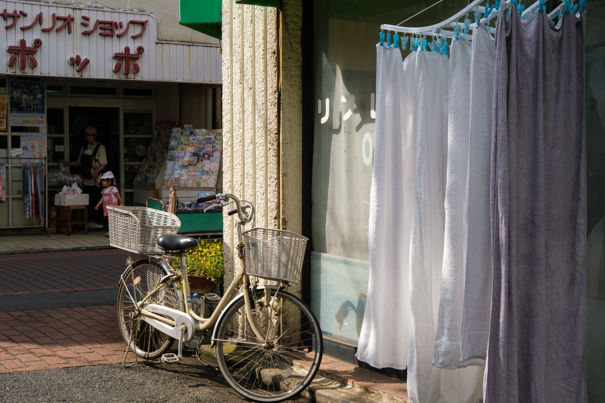 日差しに反応しました。梅雨の曇天の合間ですから無理もないのですが、なんとなく神経質にピント合わせをしたくなかったので絞って目測撮影しています。<br><span class="fnt-85">富士フイルム X-T30 III／NOKTON 35mm F1.2／35mm／絞り優先AE（1/950秒、F8、−0.67EV）／ISO 400</span>