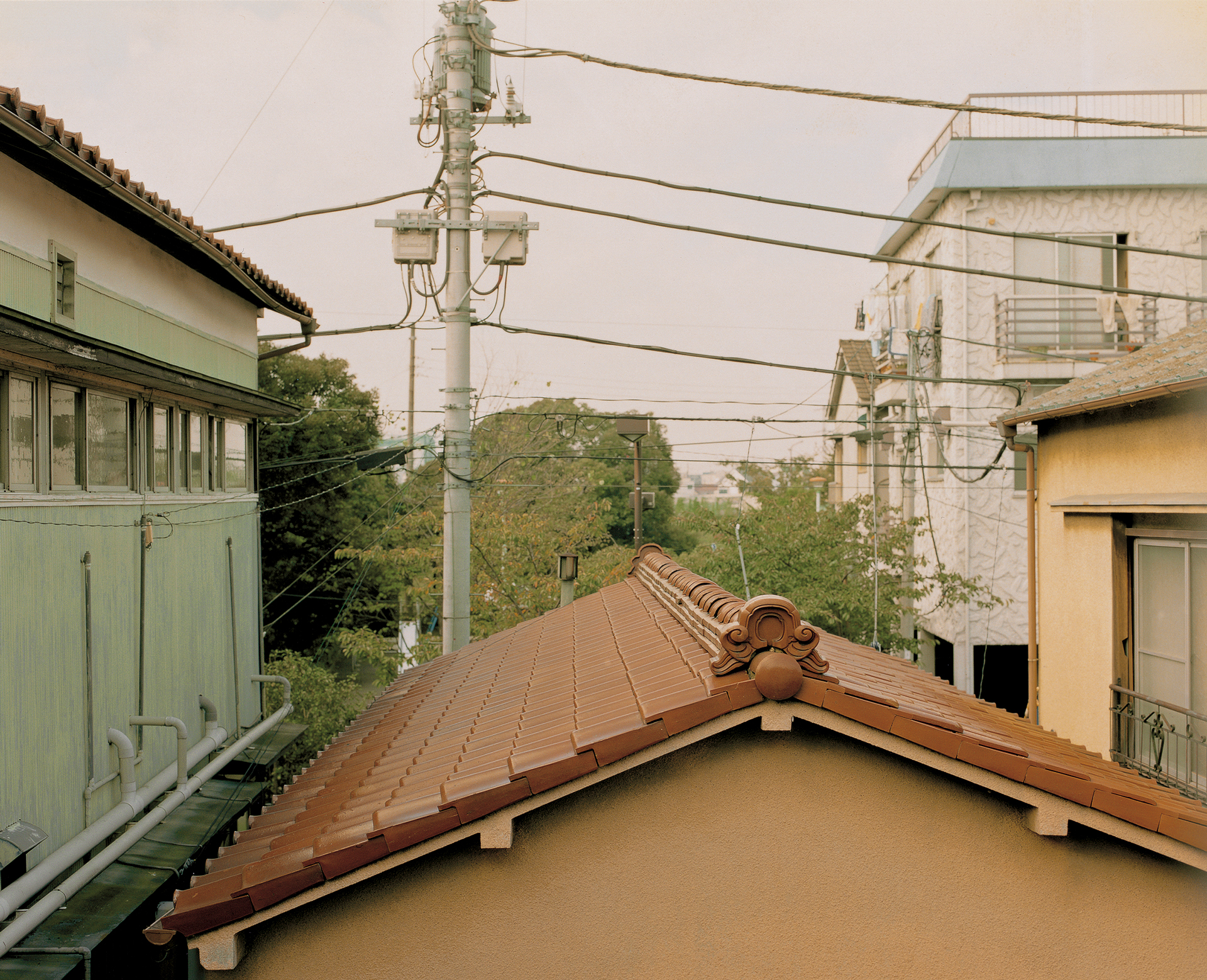 ©Masafumi Sanai
