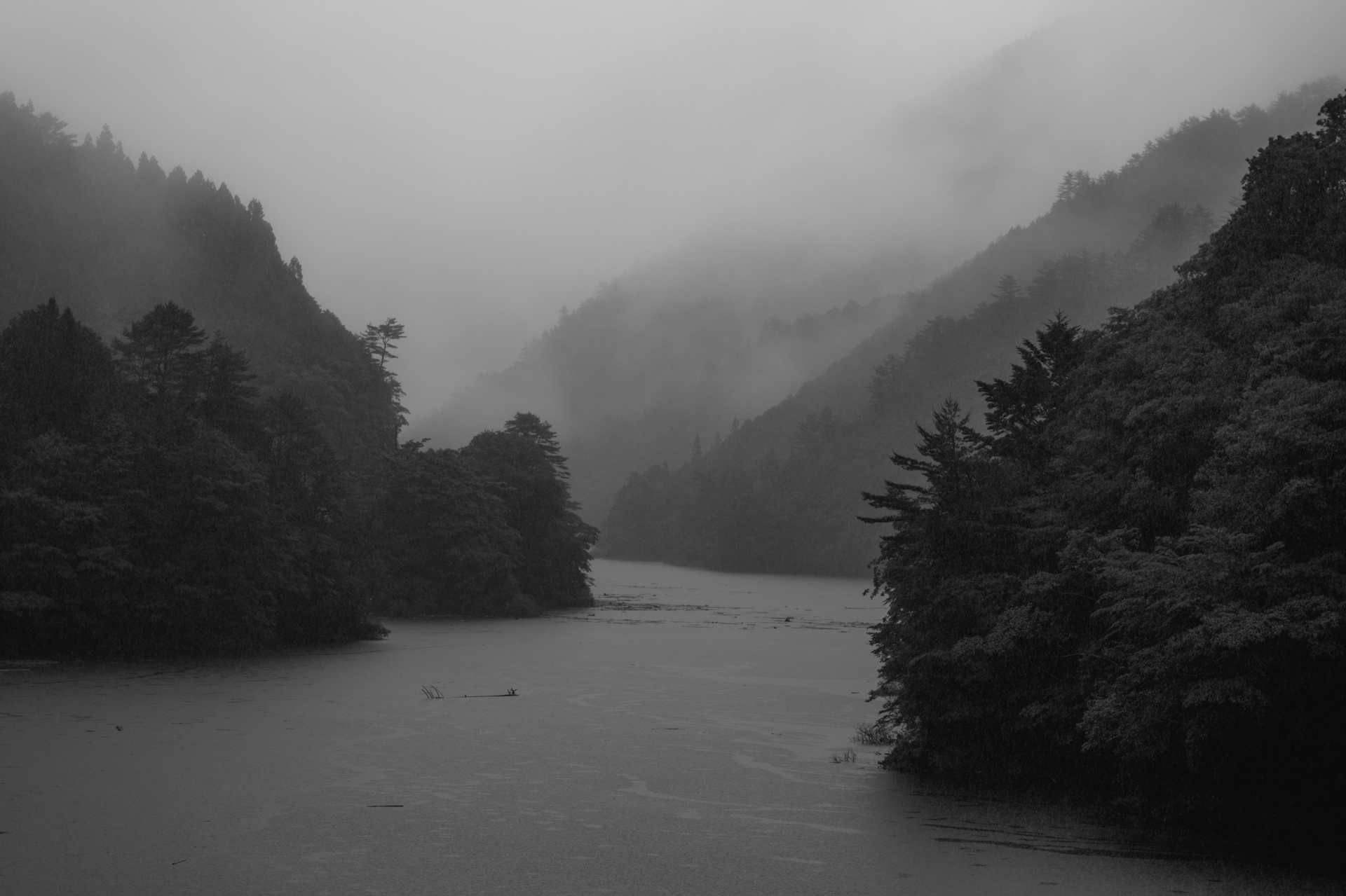 霧に煙る山々を、モノクロに設定して撮影。奥へ行くにつれてだんだんと薄くなっていく霧のグラデーションが美しく際立ち、非常に神秘的だった<br><span class="fnt-85">ライカSL3-P／ライカ バリオ・エルマリートSL f2.8-4/24-90 ASPH.／90mm／絞り優先AE（F4.0、1/250秒 、－0.6EV）／ISO 100／WB：オート</span>
