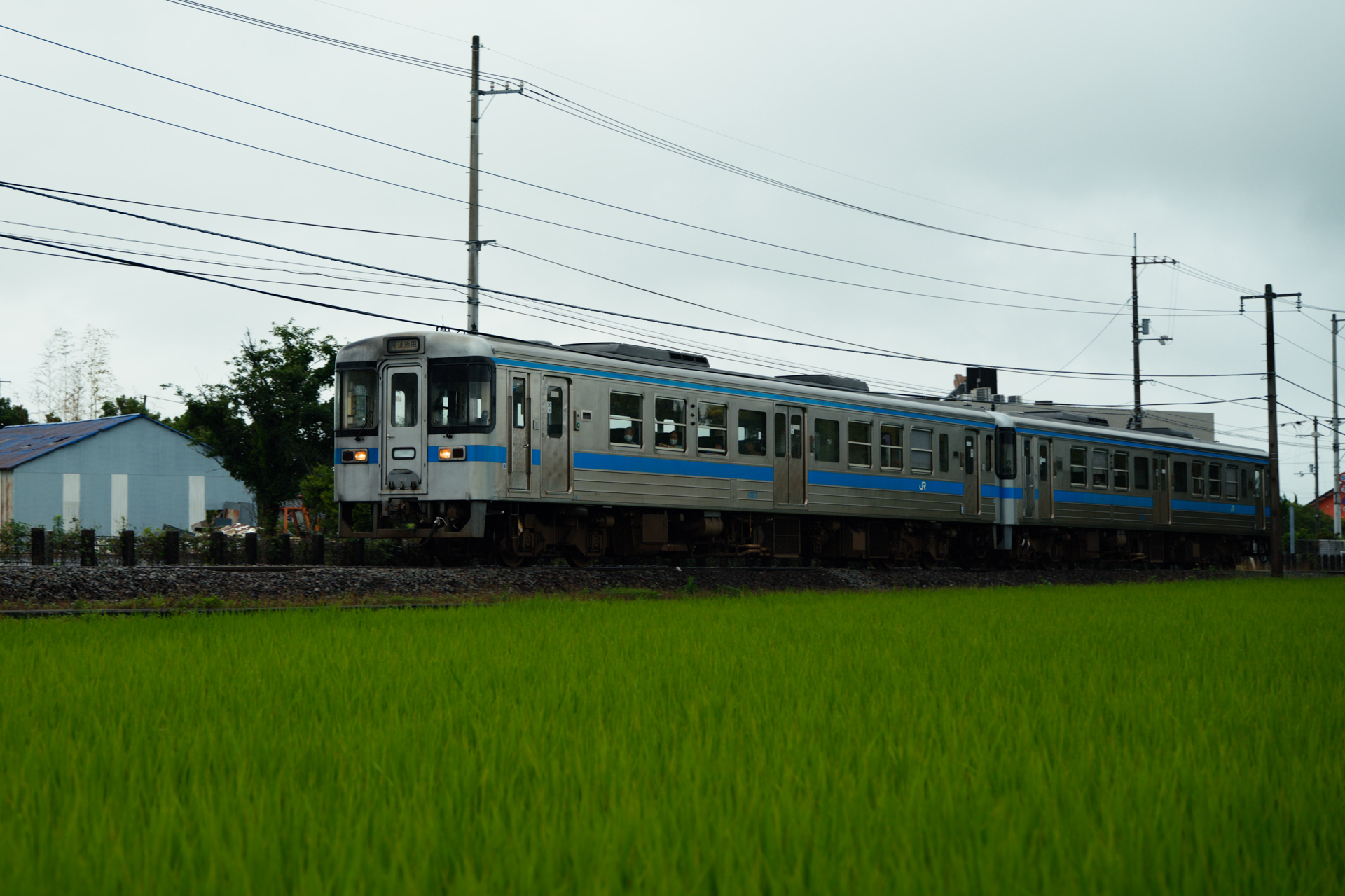 不意に現れた電車を手持ちで撮影。秒間40コマの高速連写を試したところ、迷いのない完璧なAF追従により、後からベストな1枚を自由に選び取れる<br><span class="fnt-85">ライカSL3-P／ライカ バリオ・エルマリートSL f2.8-4/24-90 ASPH.／56mm／絞り優先AE（1/250秒 、－0.3EV）／ISO 100／WB：オート</span>