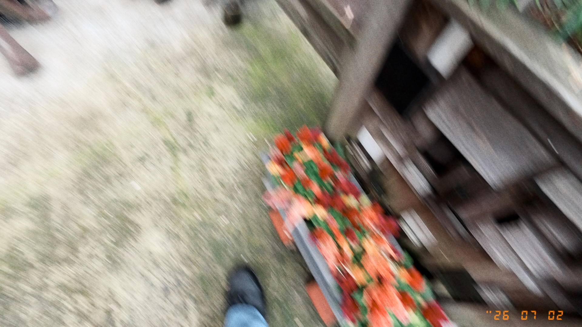 ただ間違えてシャッターを切っただけ。このような失敗写真も楽しめるカメラだ