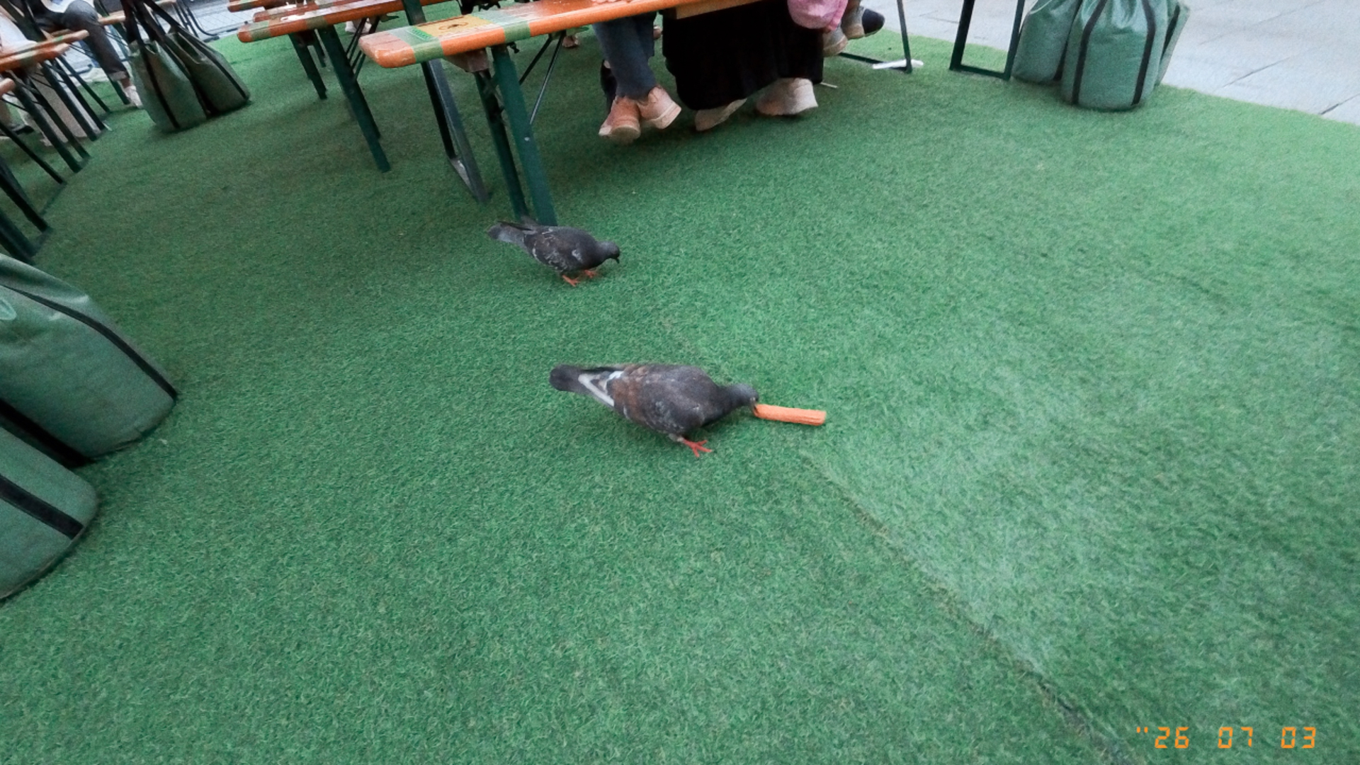 チュロスを発見した鳩。このように上から見下ろすようなアングルはノーファインダー撮影になることが多い