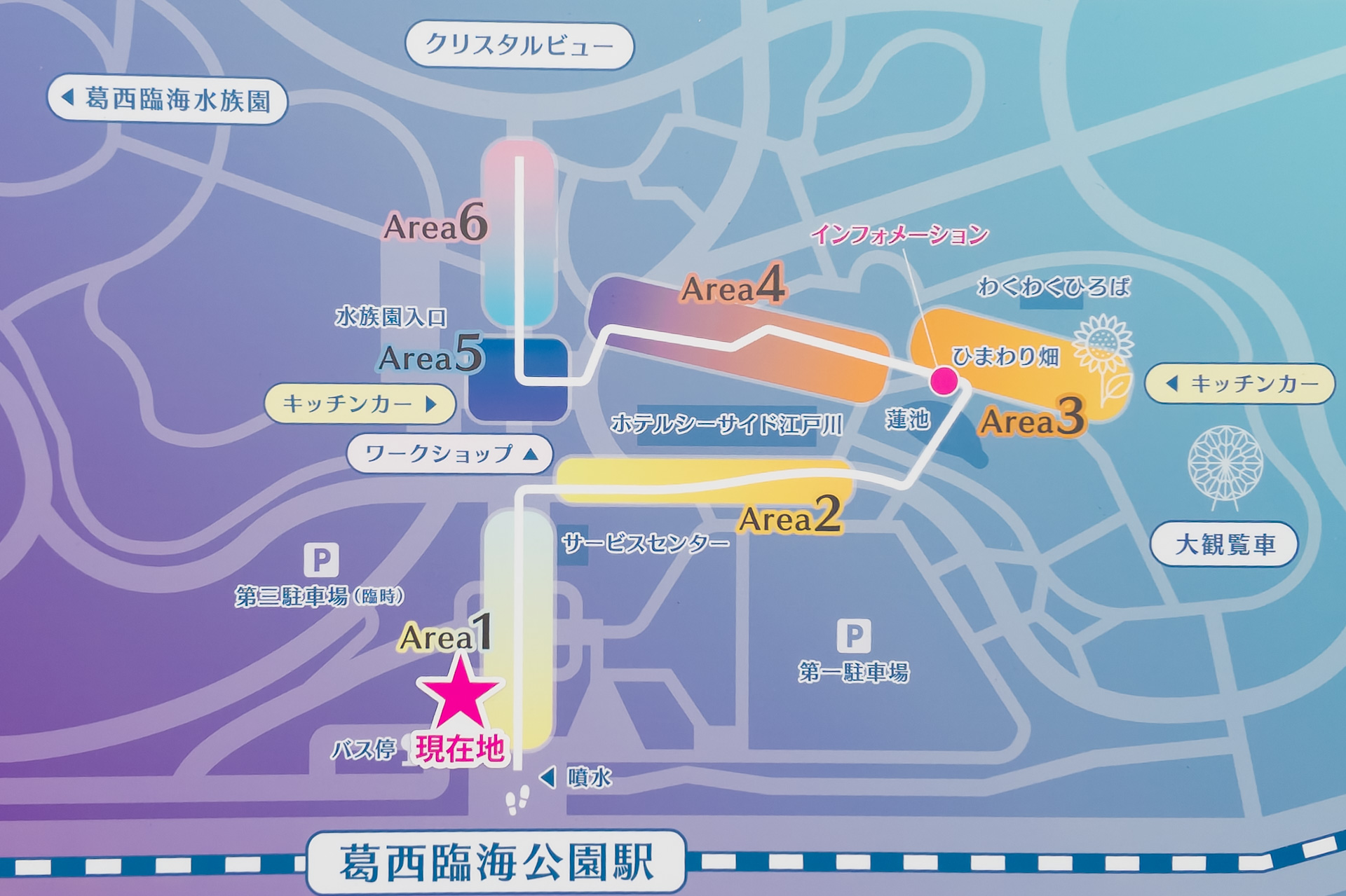 6つのエリアで実施する